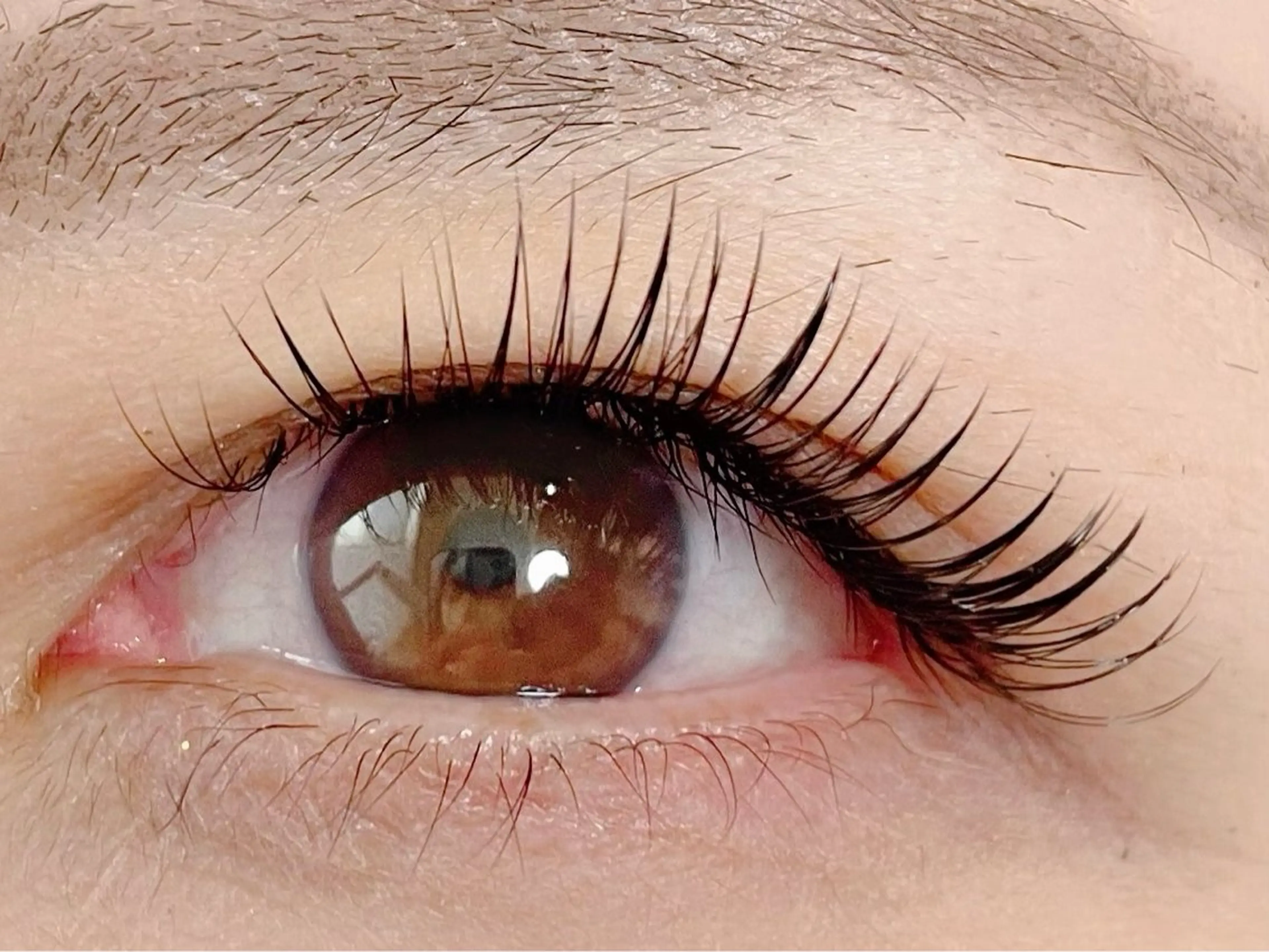 【Rommy'sボリュームラッシュ300本】オフ無料/LED+¥1.500の写真