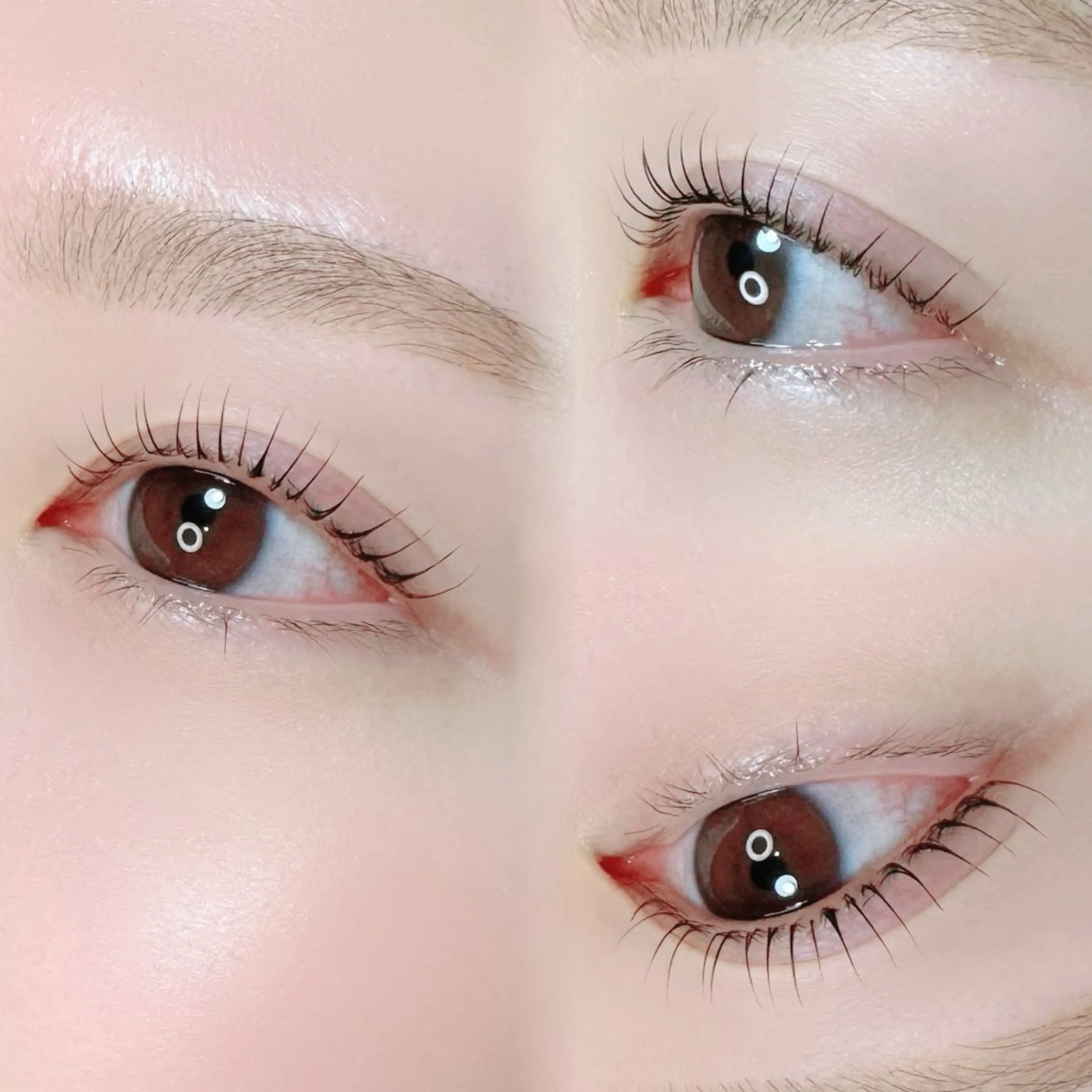 マツエク・マツパ mignon /まつげパーマ/眉毛のエステ・リラクイメージ