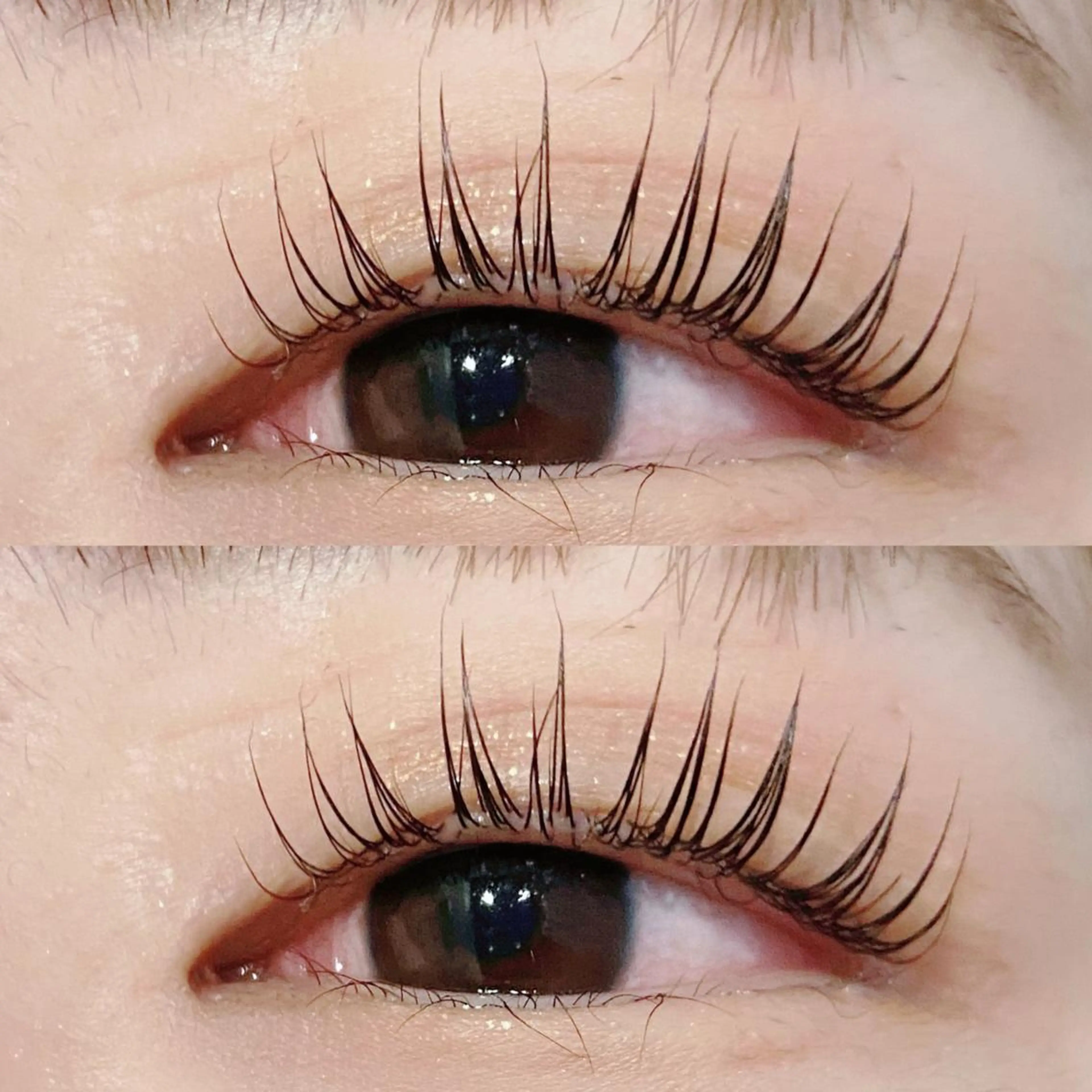 🫧🌼パリジェンヌラッシュリフト🌼🫧の写真