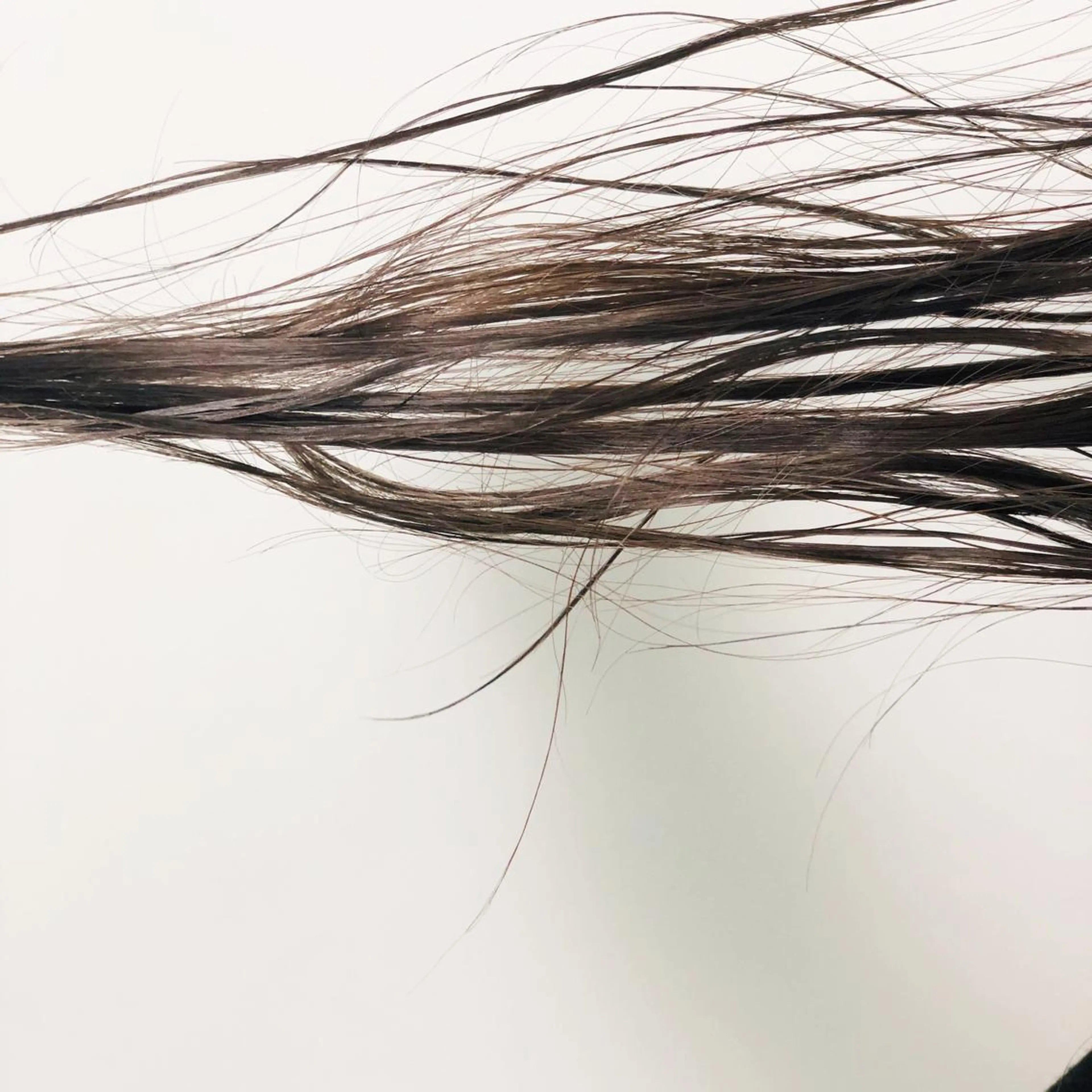 ミディアム カラー ハイライトカラー ハイライト Tao所属・藤川 大智のヘアスタイル