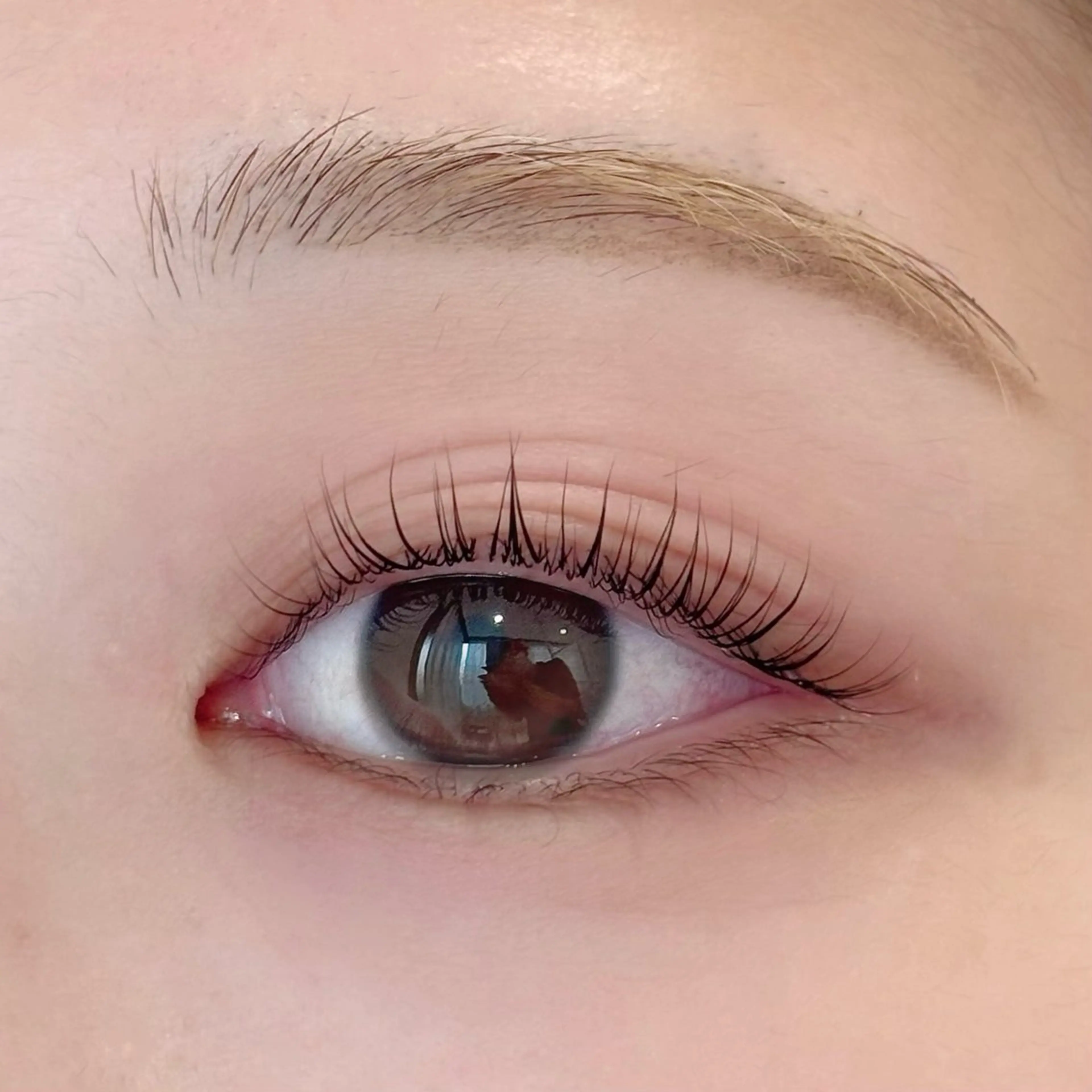 🎀マスカラパーマ🎀の写真