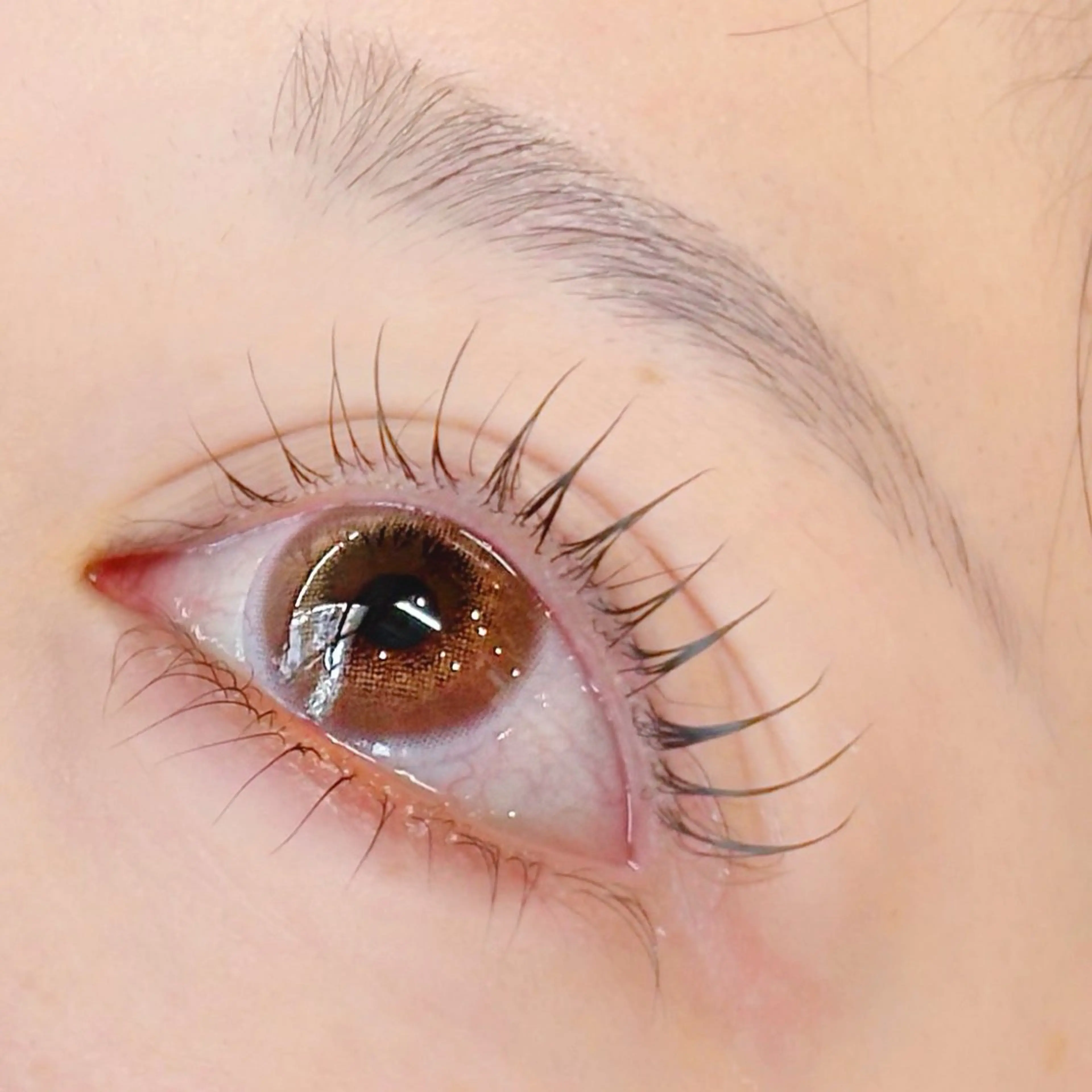 マツエク・マツパ 一重×まつ毛パーマ マツパ lino eyelash&eyebrow淡路店所属・【lino】 Reina🎀のマツエク・マツパデザイン