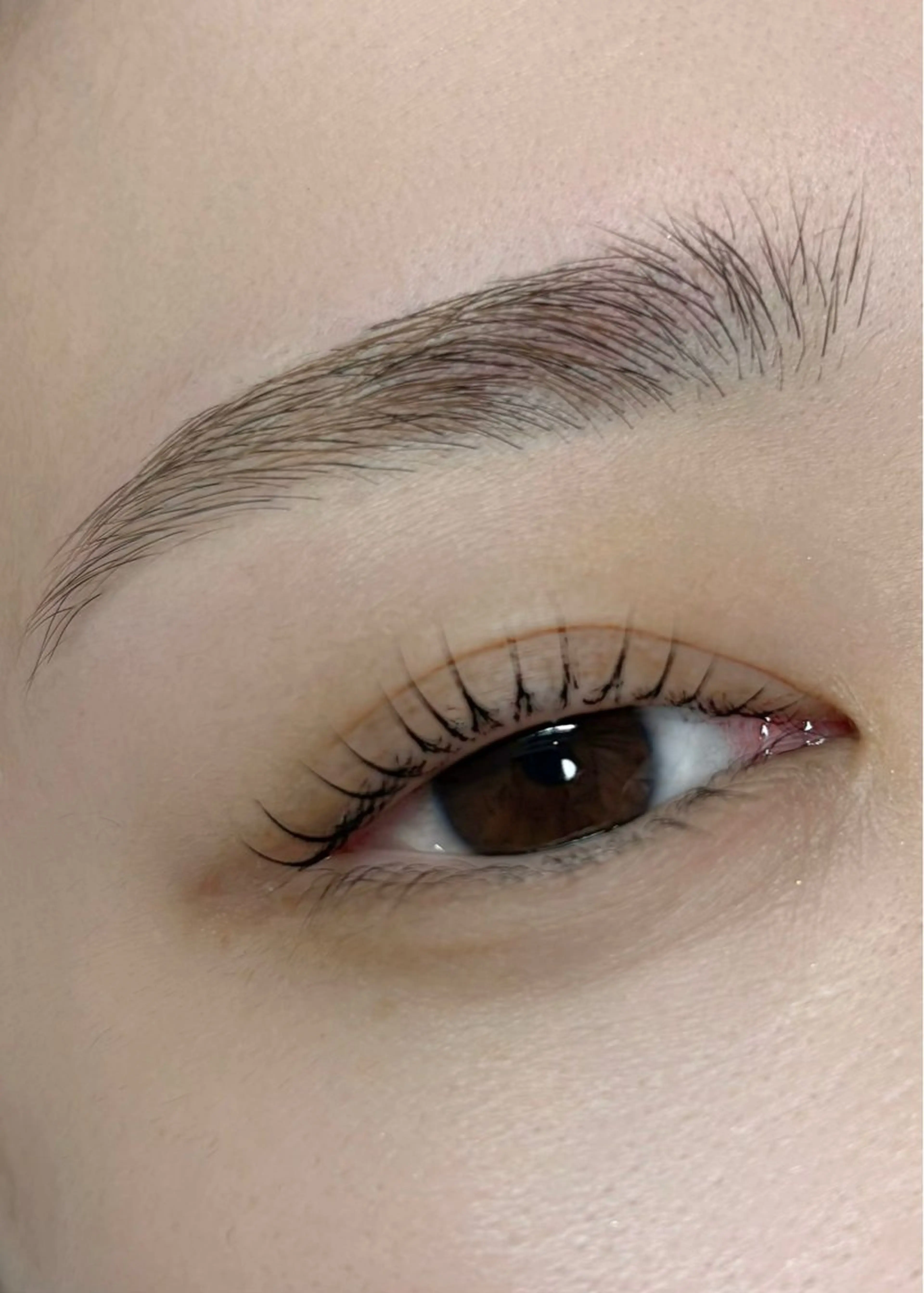 アイブロウ 垢抜け眉WAX専門 ちゅるんまつげ|鎌倉の眉毛・アイブロウイメージ