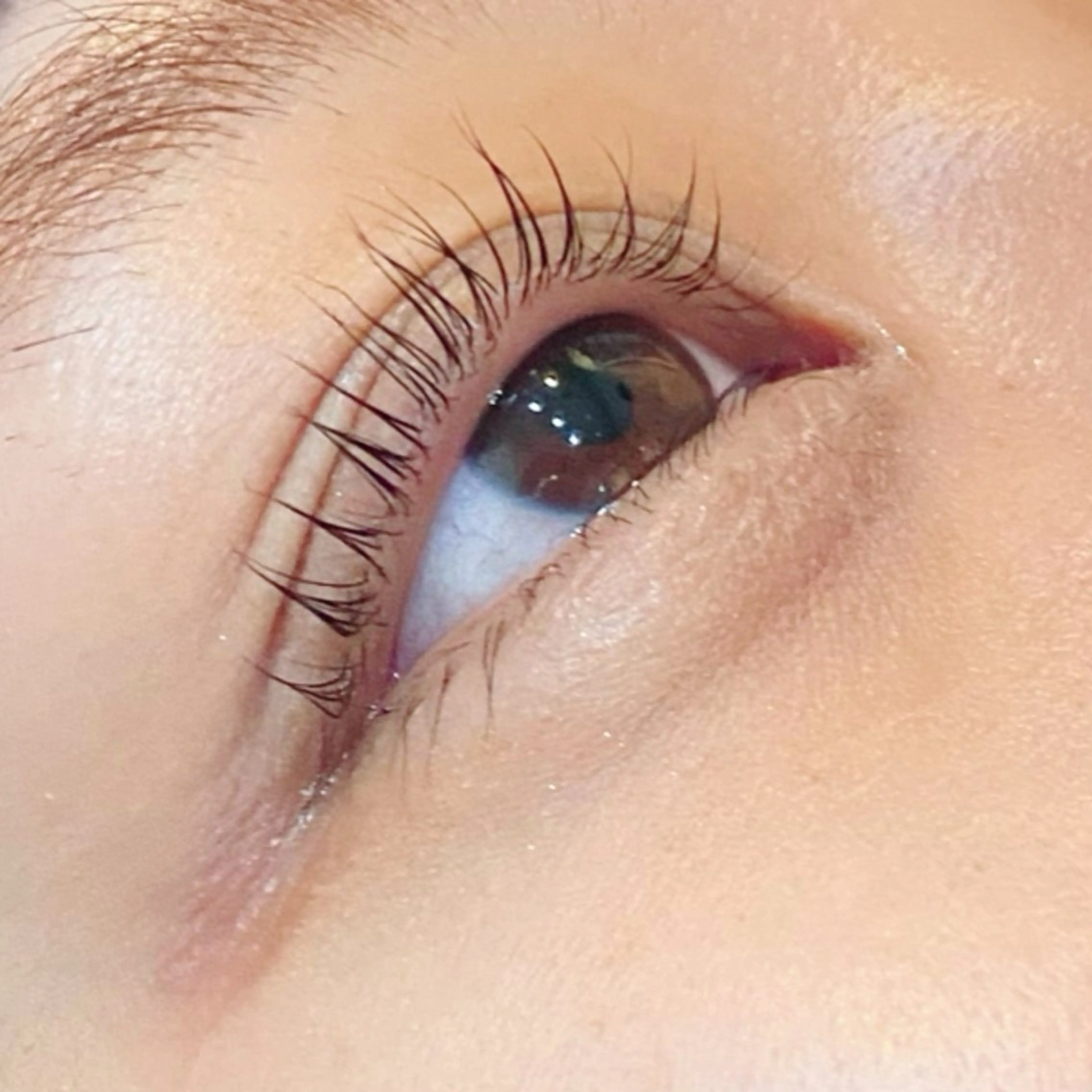 マツエク・マツパ パリジェンヌラッシュリフト Glitter所属・菊入明海/マツパ/眉 ワックスのマツエク・マツパデザイン