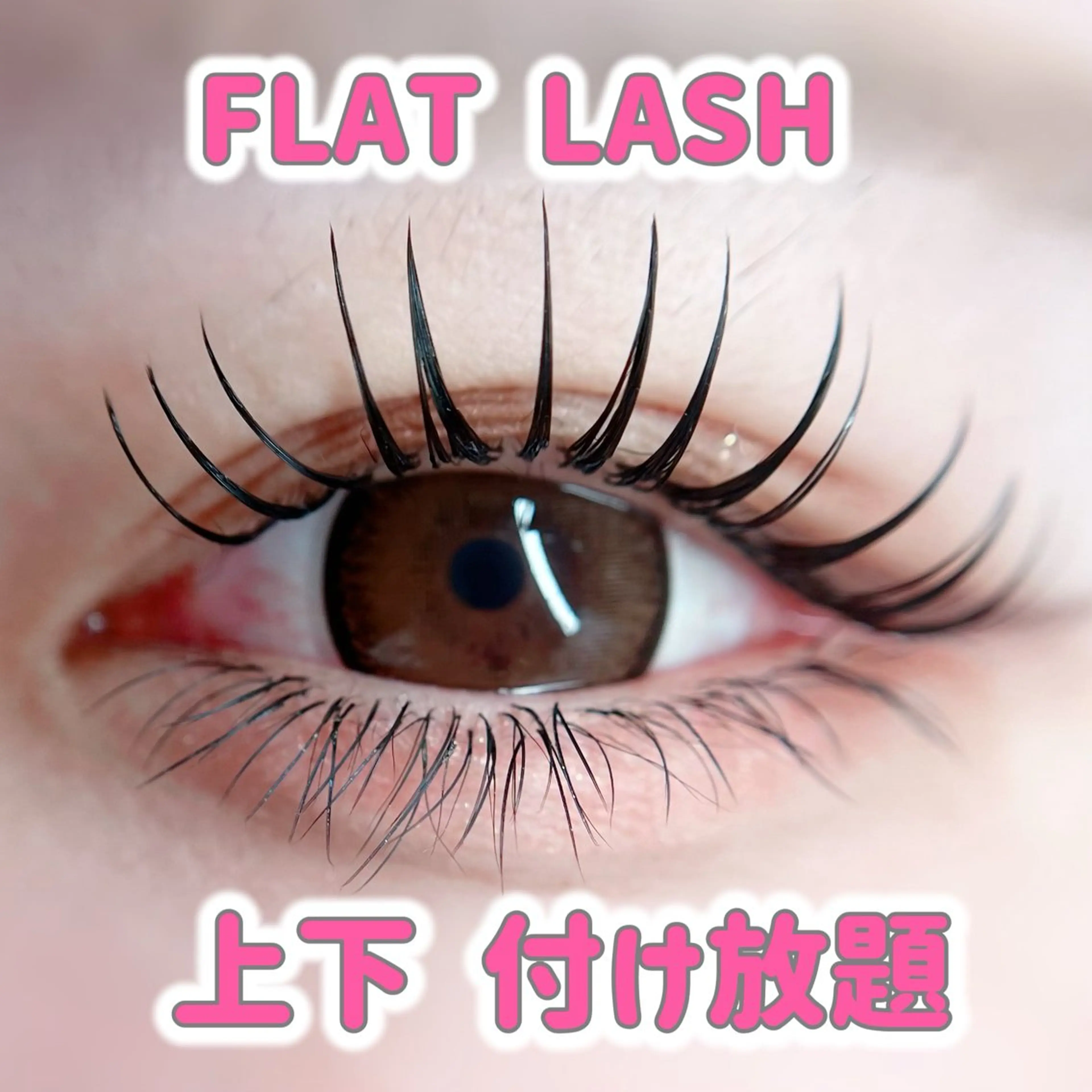 ✩ FLAT LASH 上下付け放題 ✩ オフ無料/美容液コーティング付きの写真