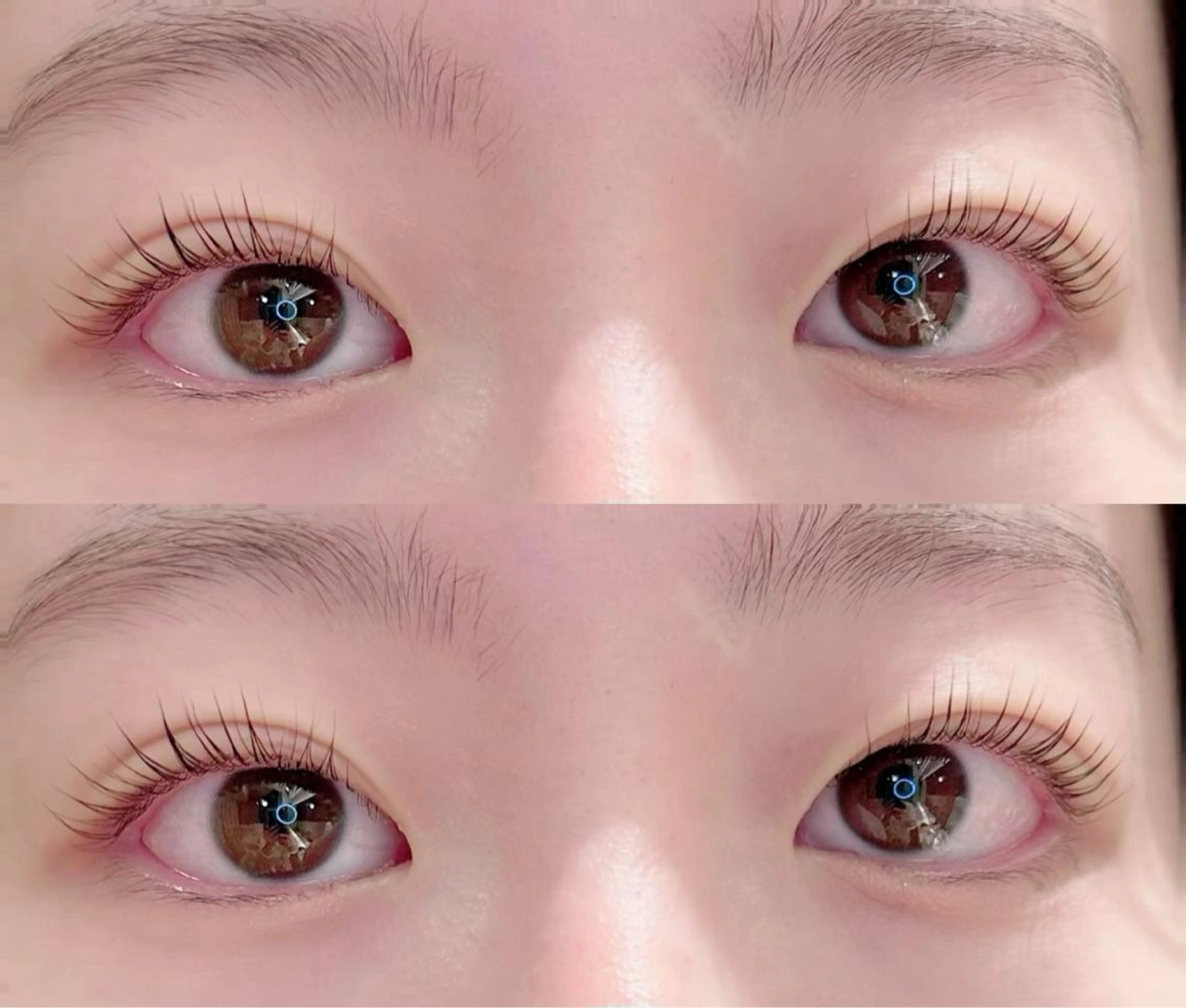 『2回目以降の方』大人気✨パリジェンヌリフト＋トリートメント付き🌻＊必ず補足説明をお読みくださいの写真