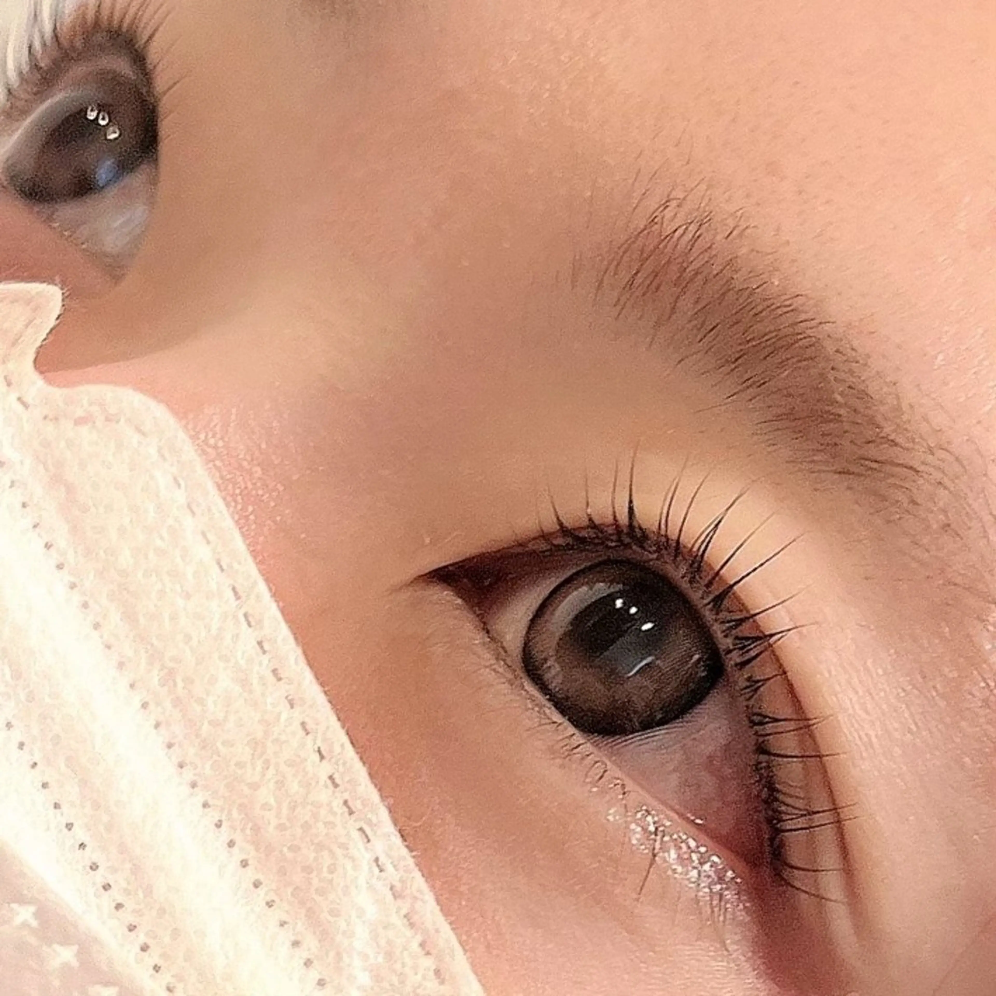 🌿話題の次世代まつげパーマ!! パリジェンヌorラッシュリフト🌿※オフなしの写真