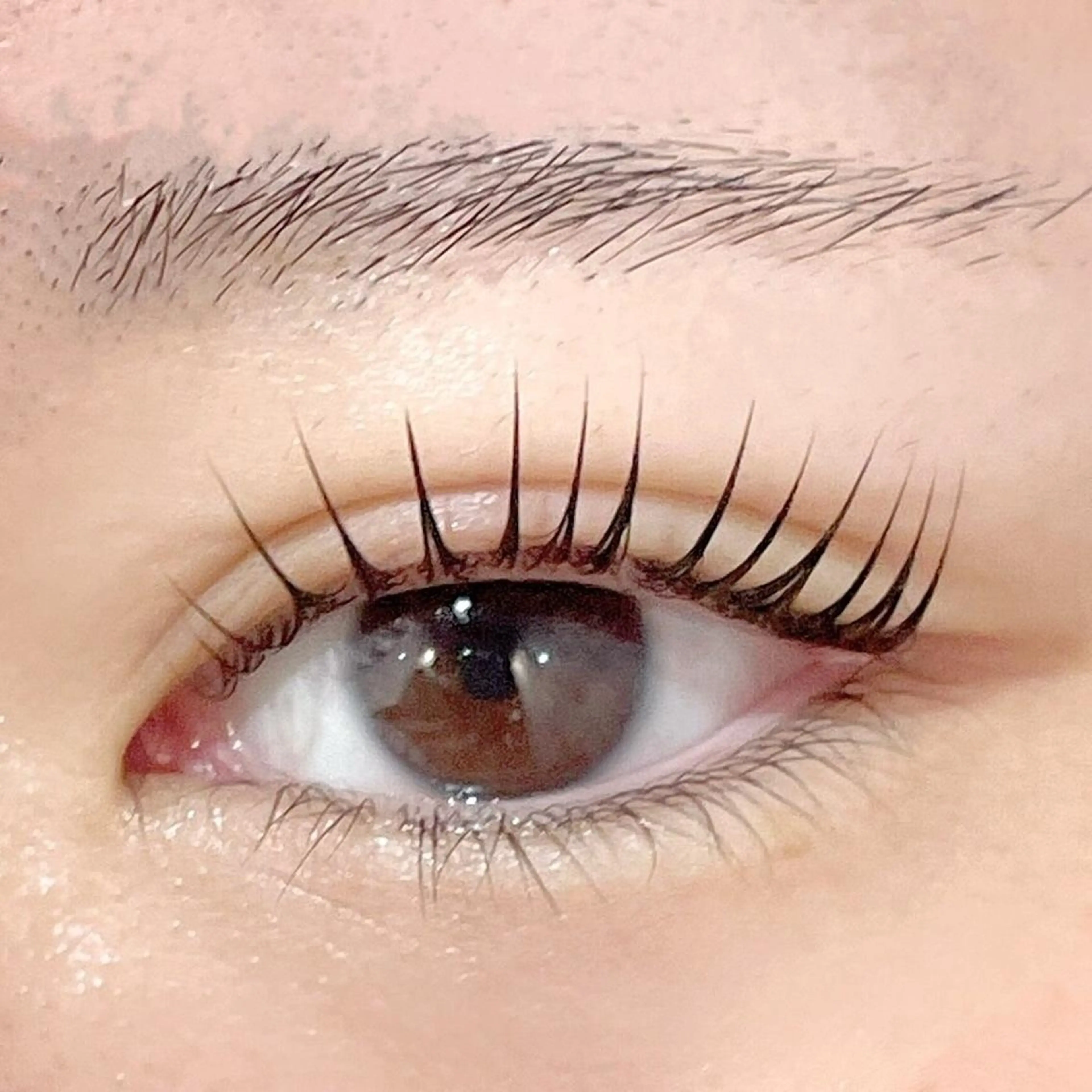 【人気No.3🌟】まつ毛パーマ➕アイブロウワックス　🌼🌼　同時施術で一気に垢抜け💗の写真