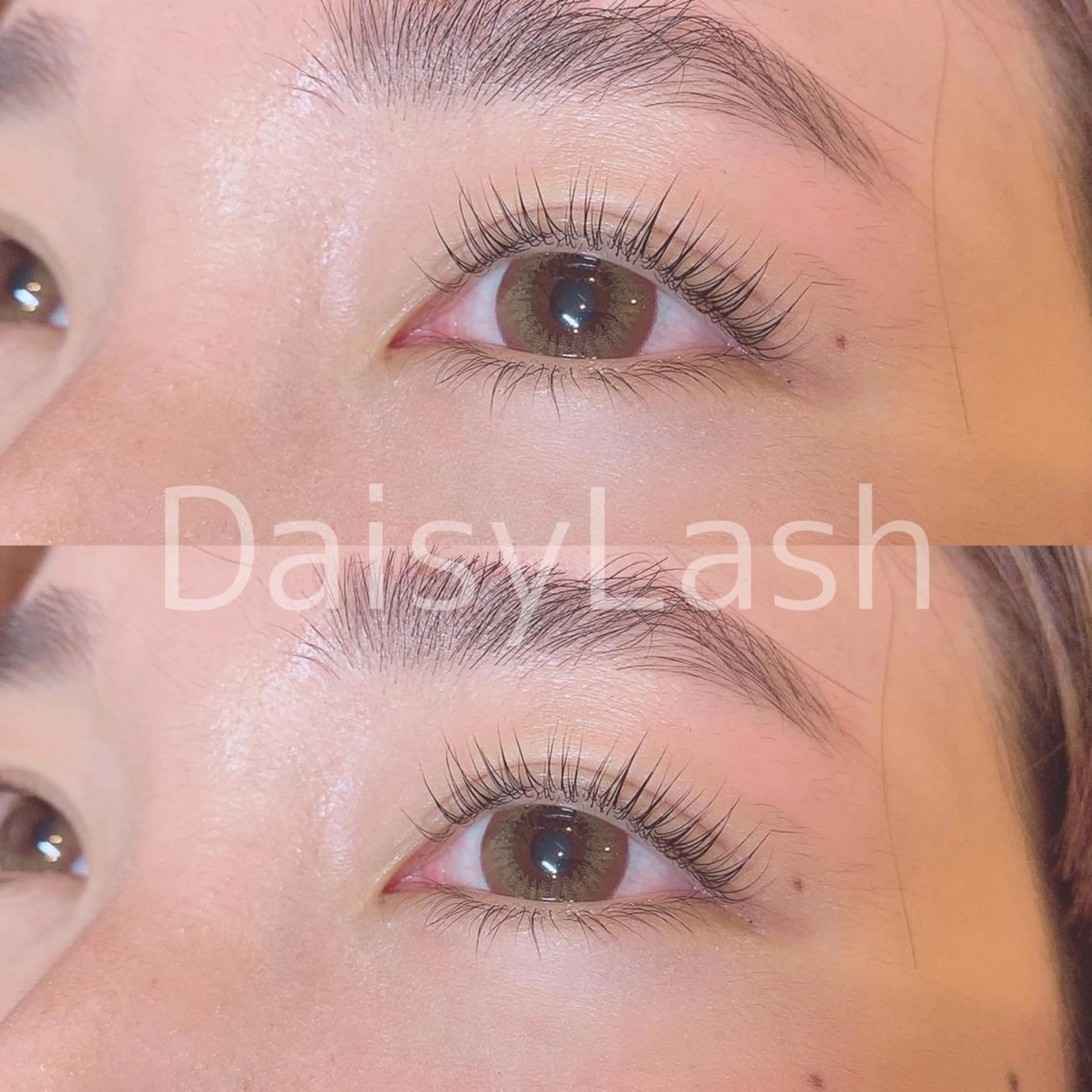 マツエク・マツパ DaisyLash 京橋店のマツエク・マツパデザイン
