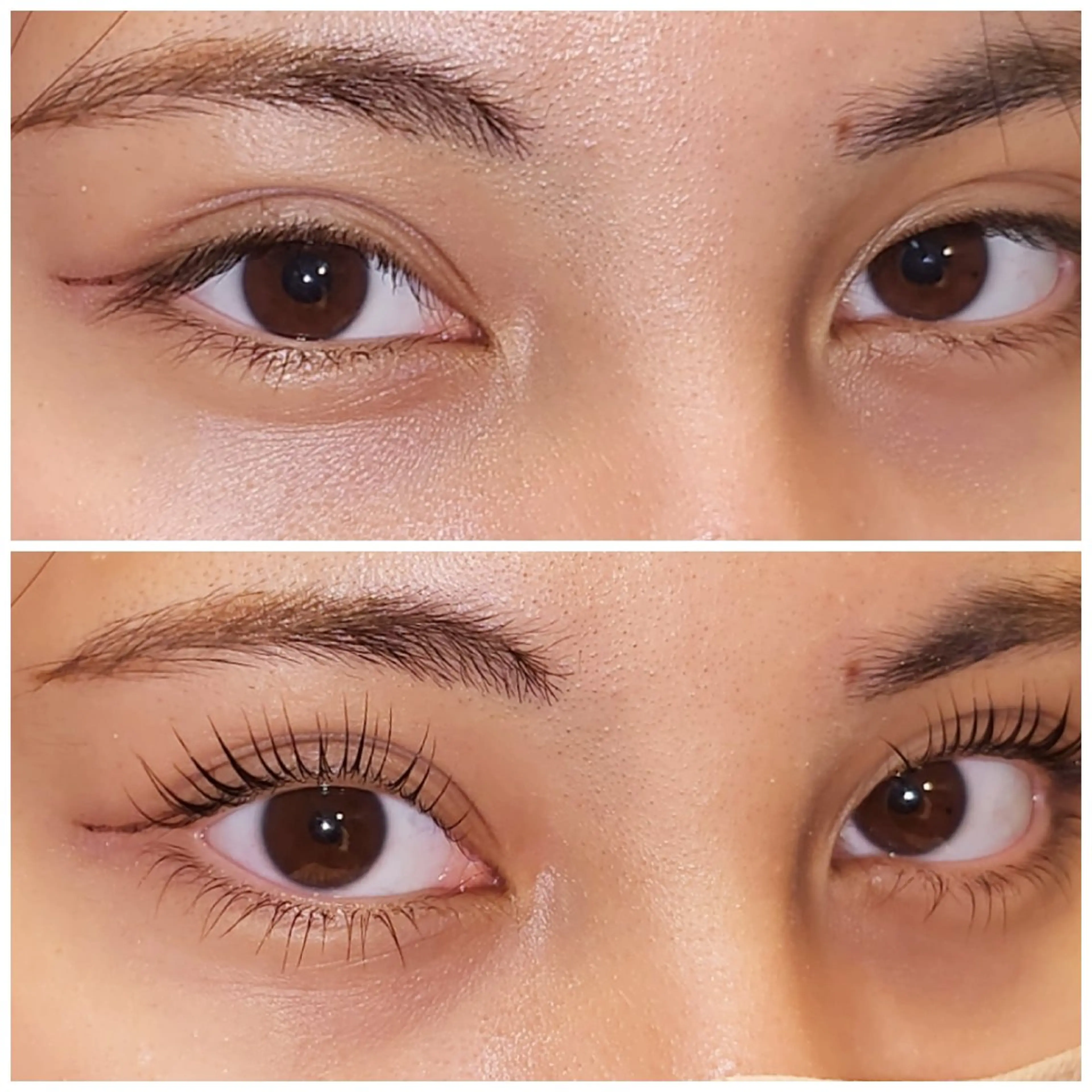 🌷まつ毛パーマ上下🌷【まつ毛に優しいトリートメント配合】の写真