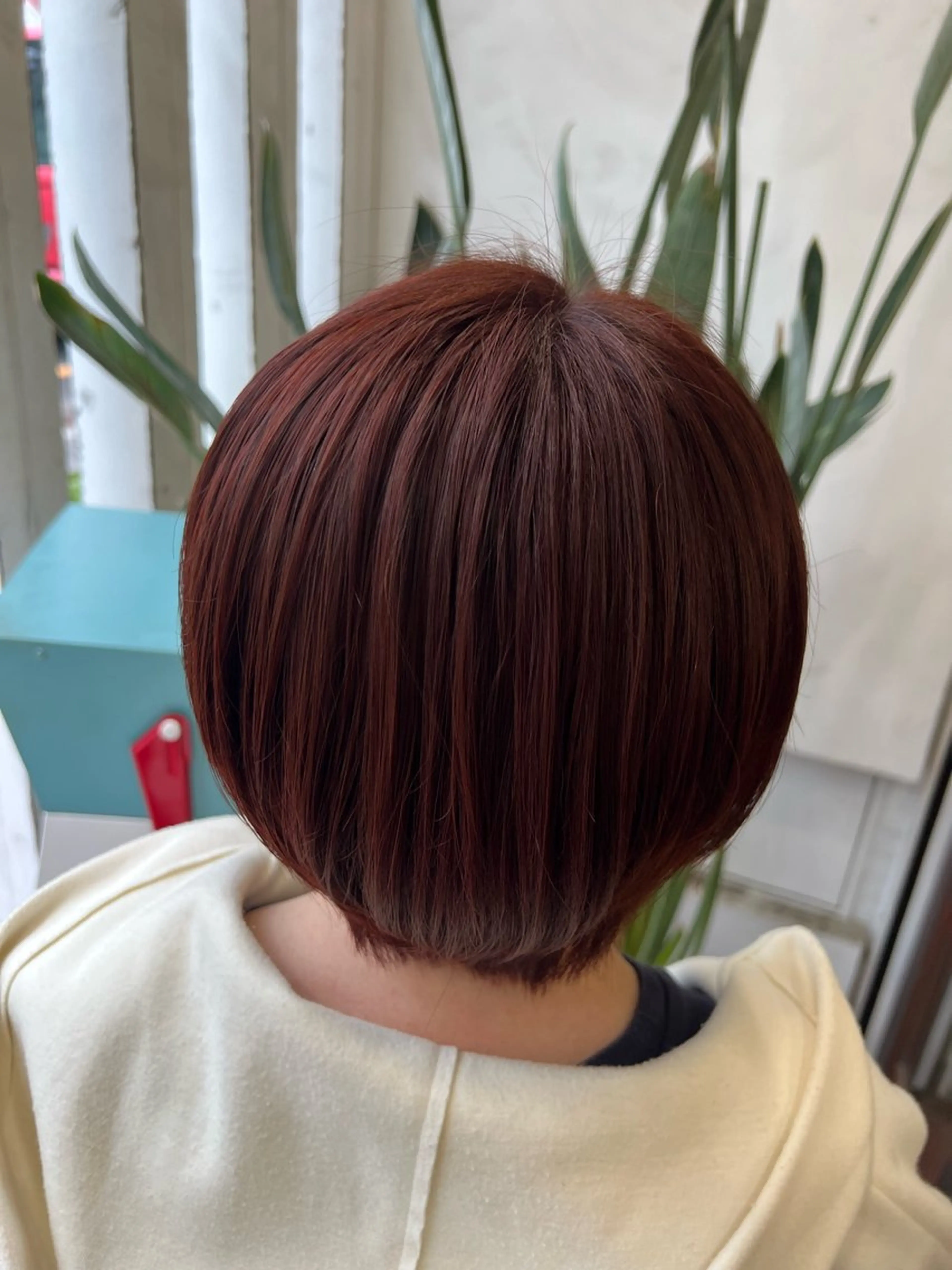 ショート カラー ブリーチカラー🦖 岡部木乃夏のヘアスタイル