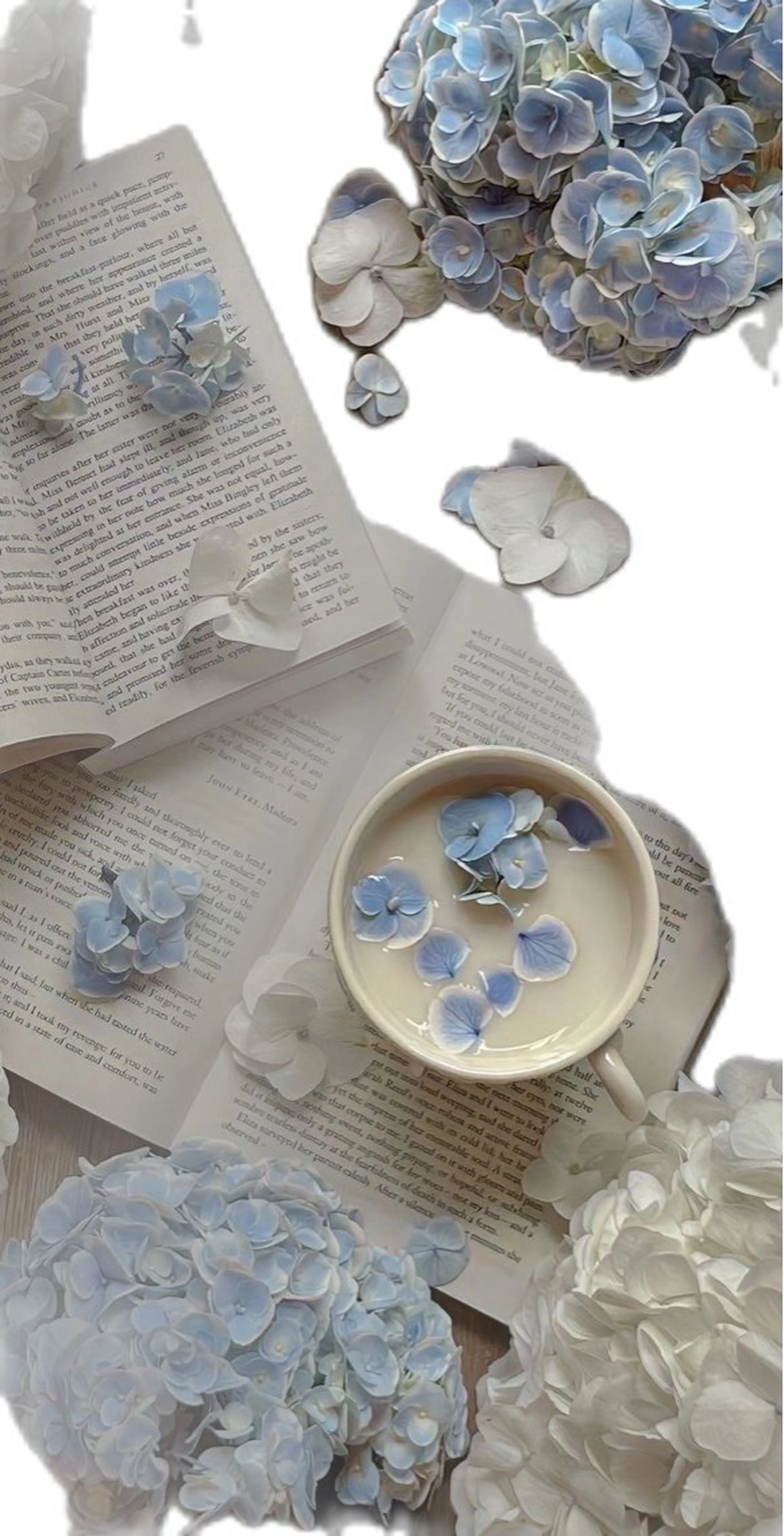 Bianca 銀座 Hinanoのネイルデザイン