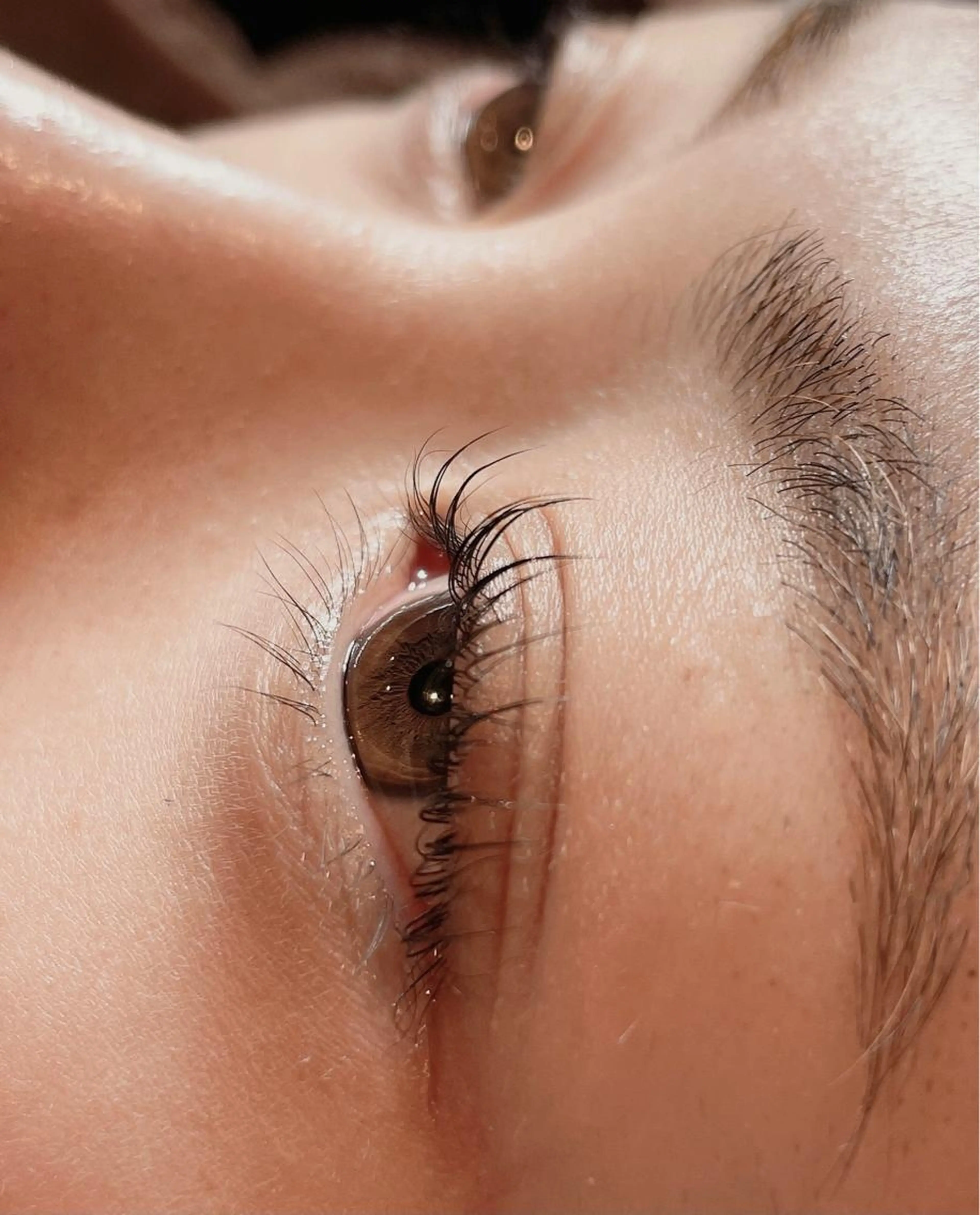 艶々ラッシュリフト上下✨パッチリ目元で目力💕UP✨トリートメント付きで艶々な仕上がり🥰の写真