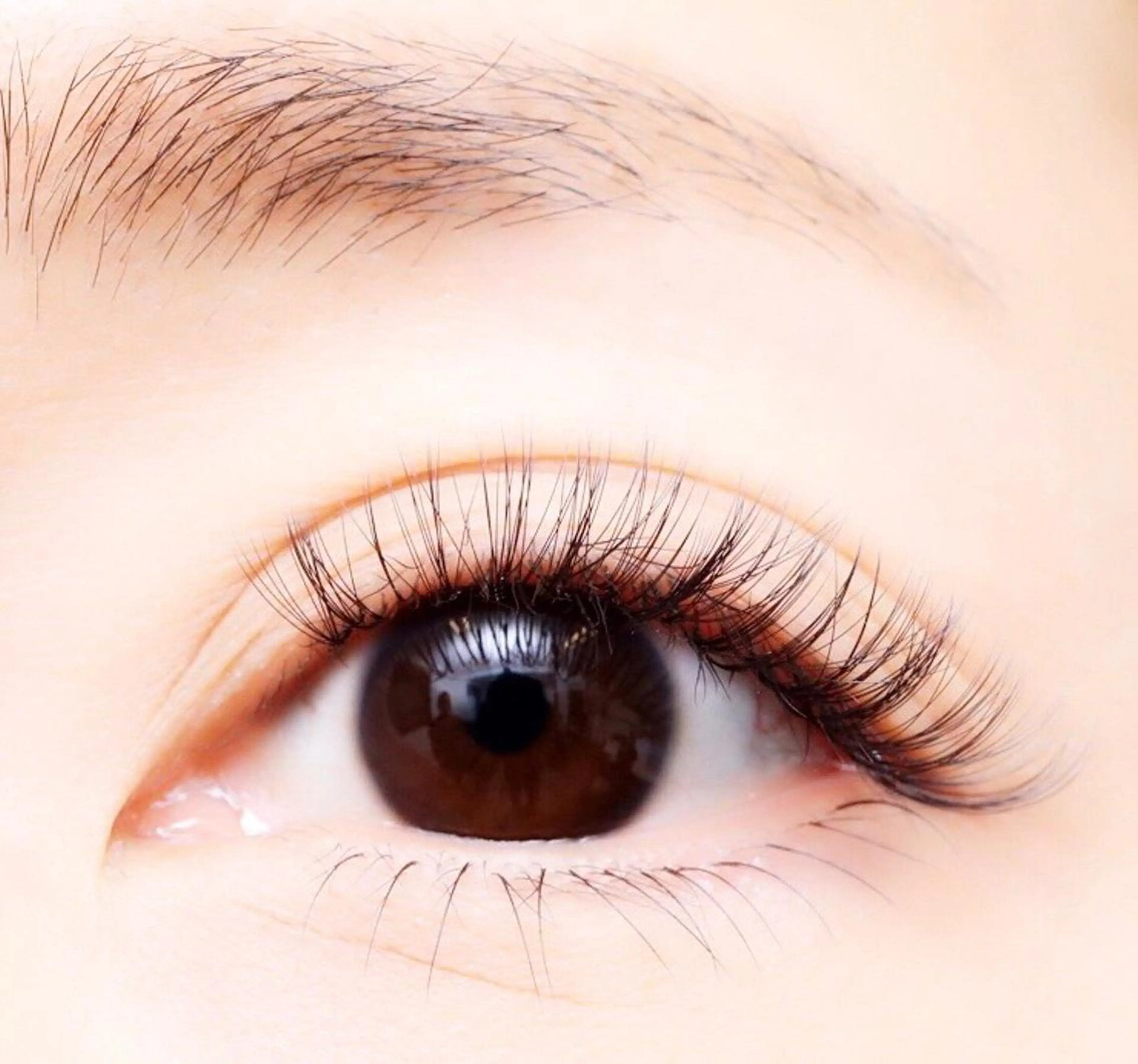 マツエク・マツパ ナチュラル セーブル ボリュームラッシュ 【無料】Dolls 王子店のマツエク・マツパデザイン