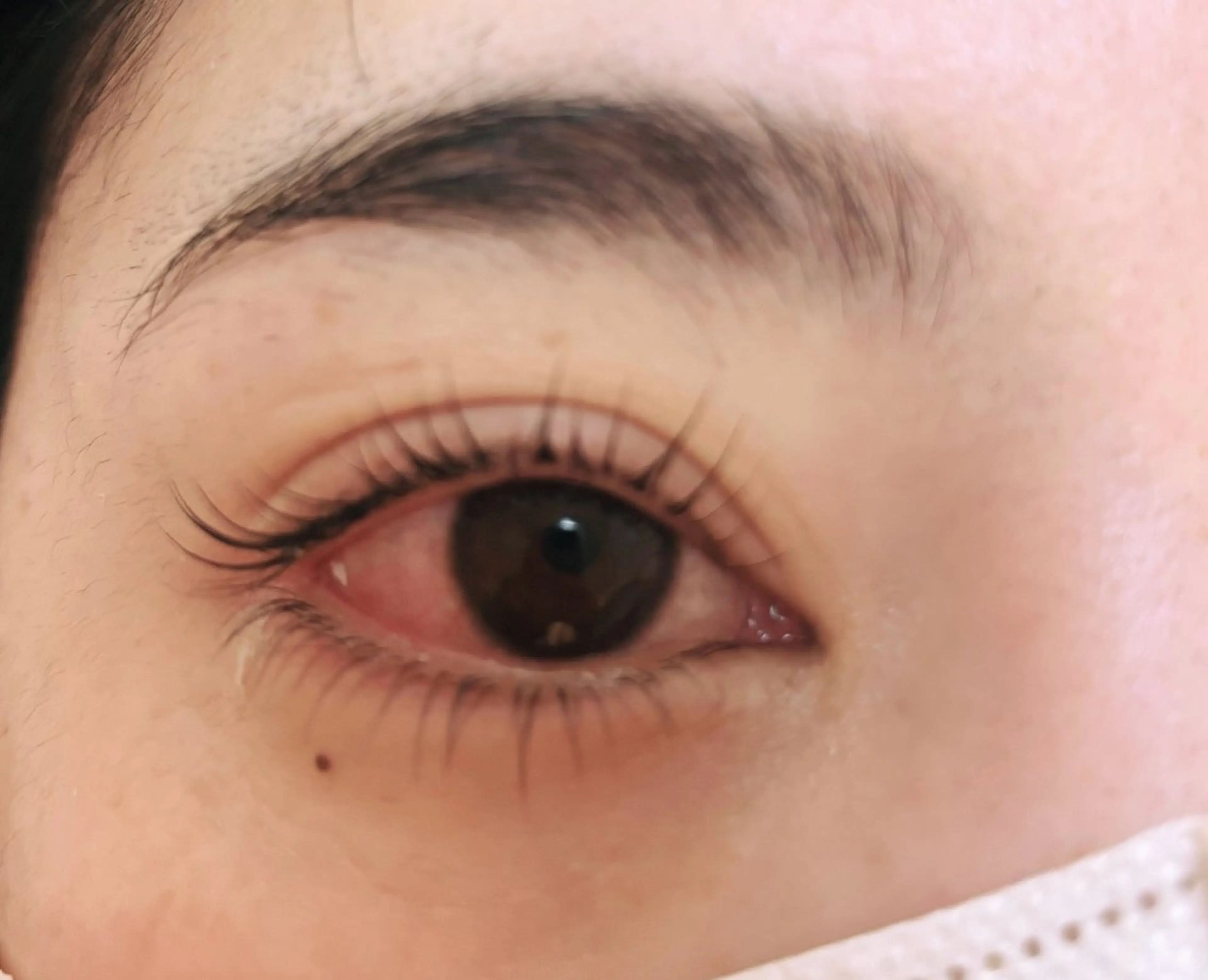 上下まつ毛パーマ❣️ラッシュリフト🌷の写真