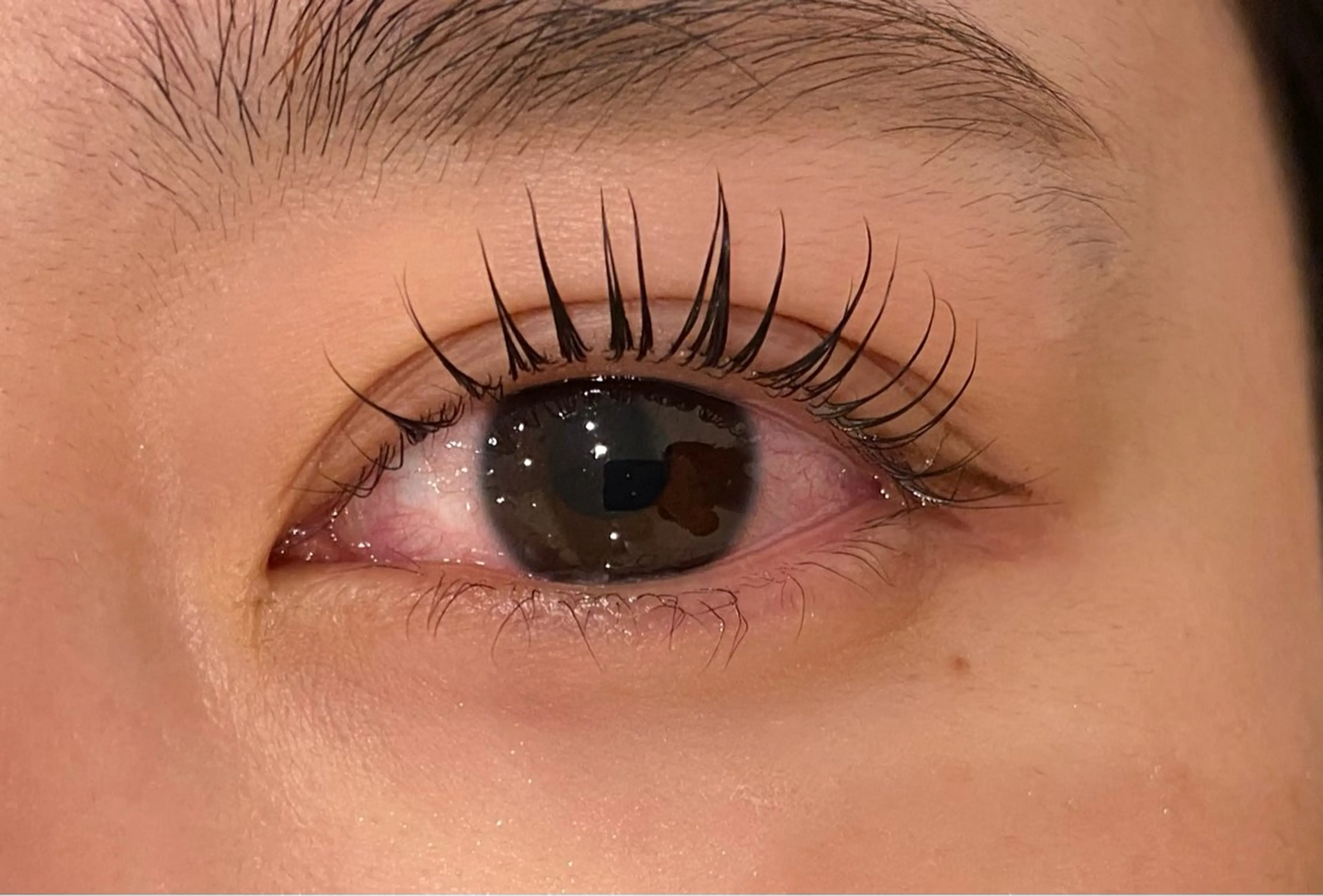 マツエク・マツパ まつげパーマ Daisy lash 京橋店堀井のマツエク・マツパデザイン