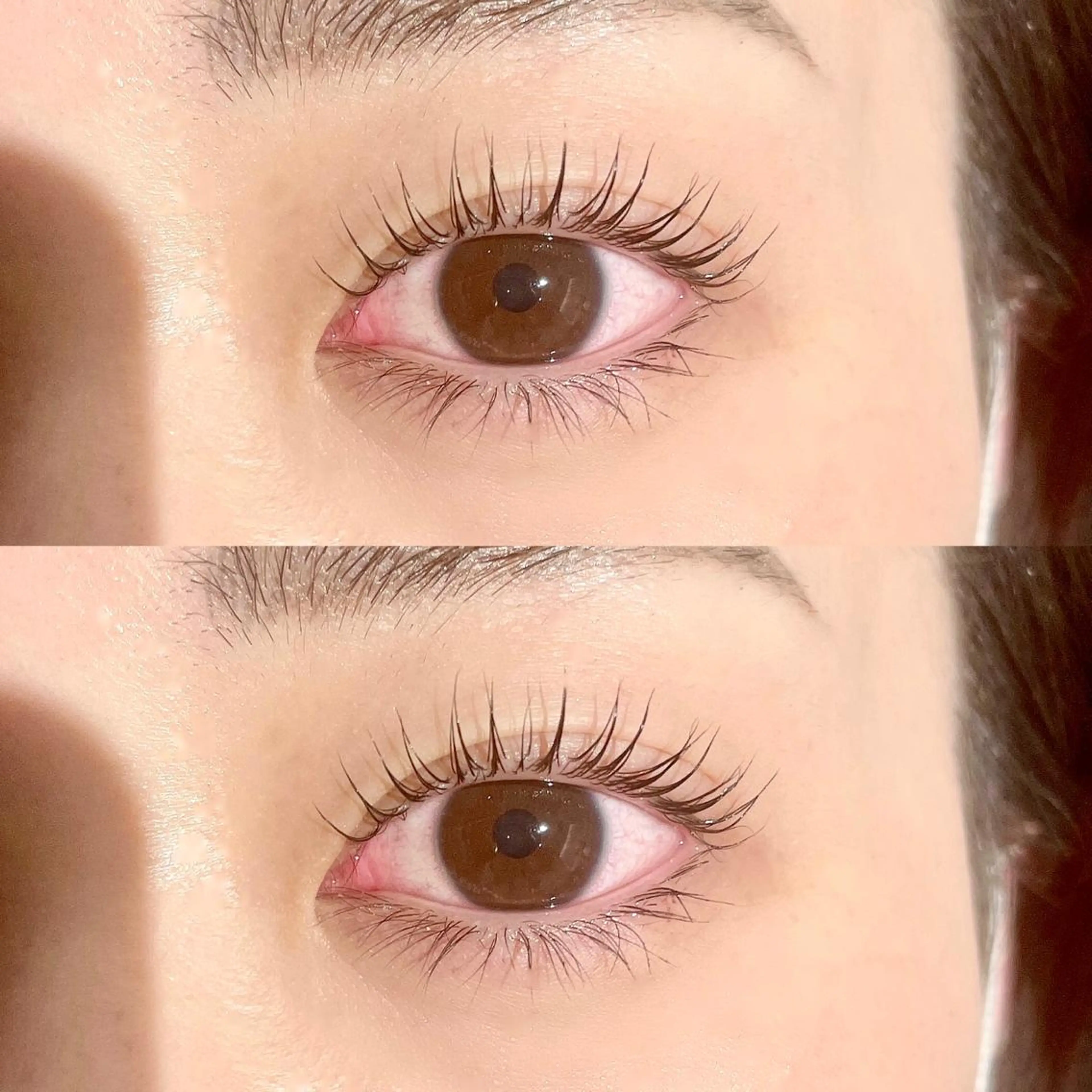 【平日限定】ラッシュリフトセット(パリジェンヌ含む) ¥6600→¥6400の写真