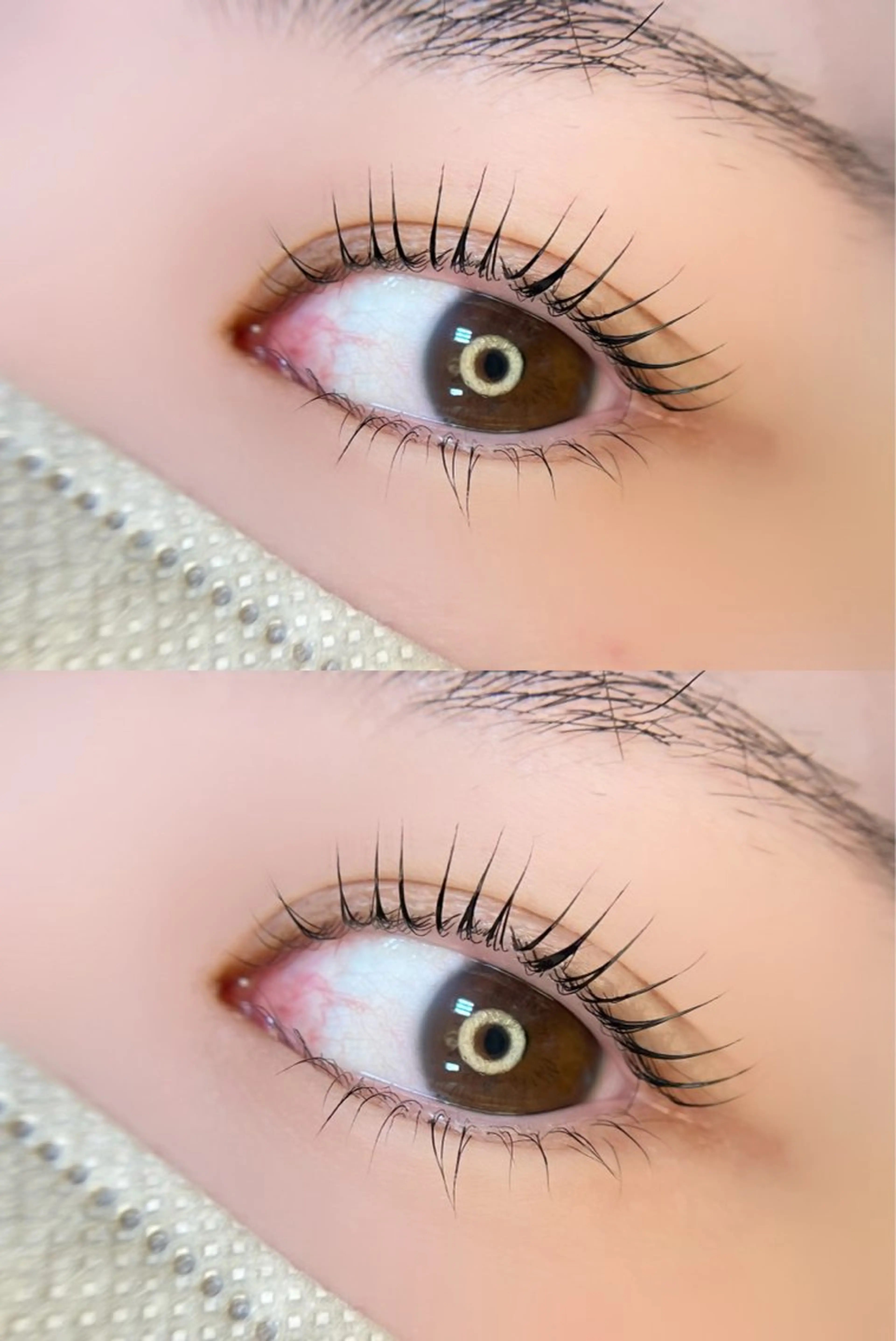 4月限定🌸まつ毛パーマ（上カールのみ）の写真