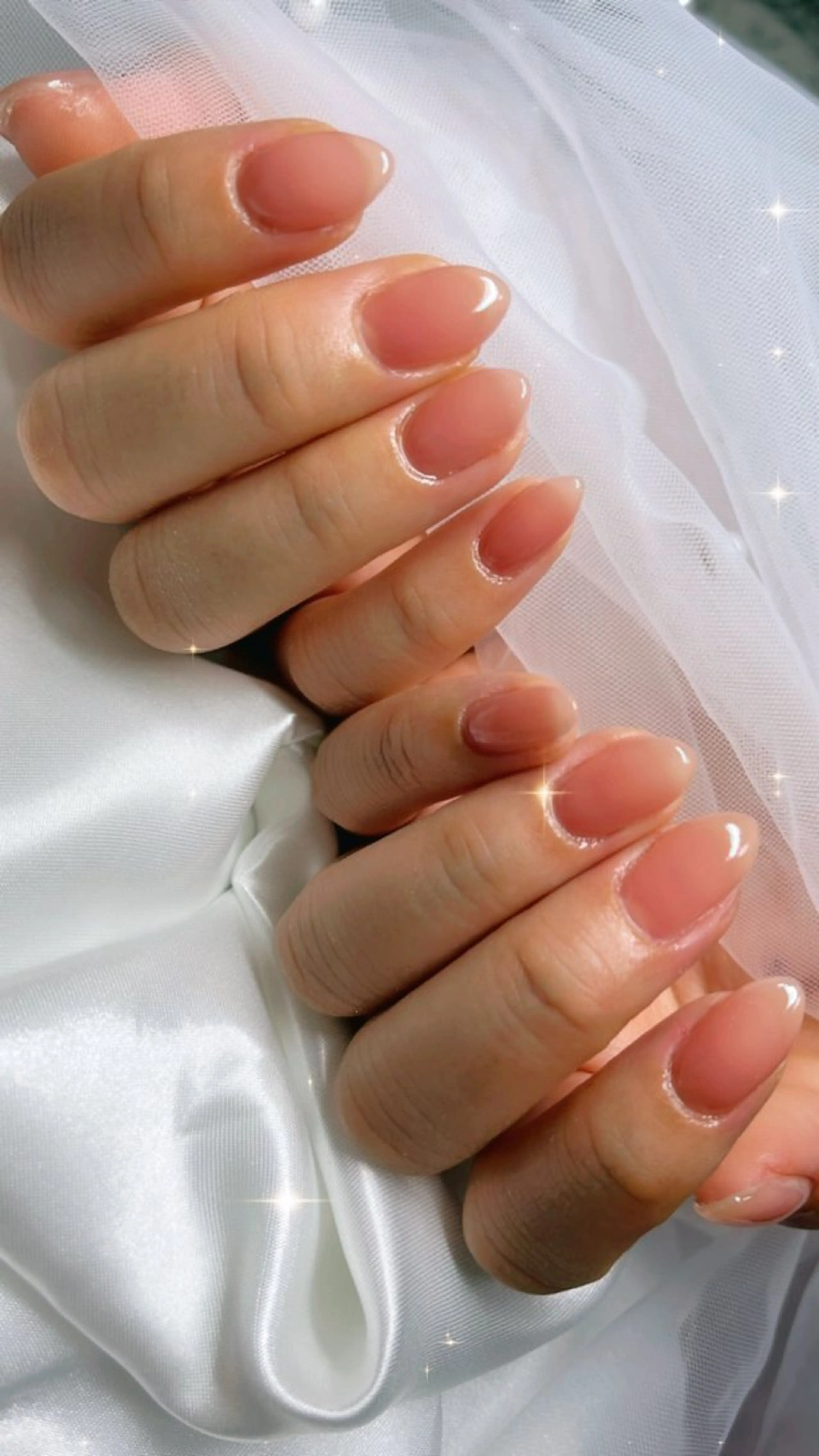 ワンカラーの写真