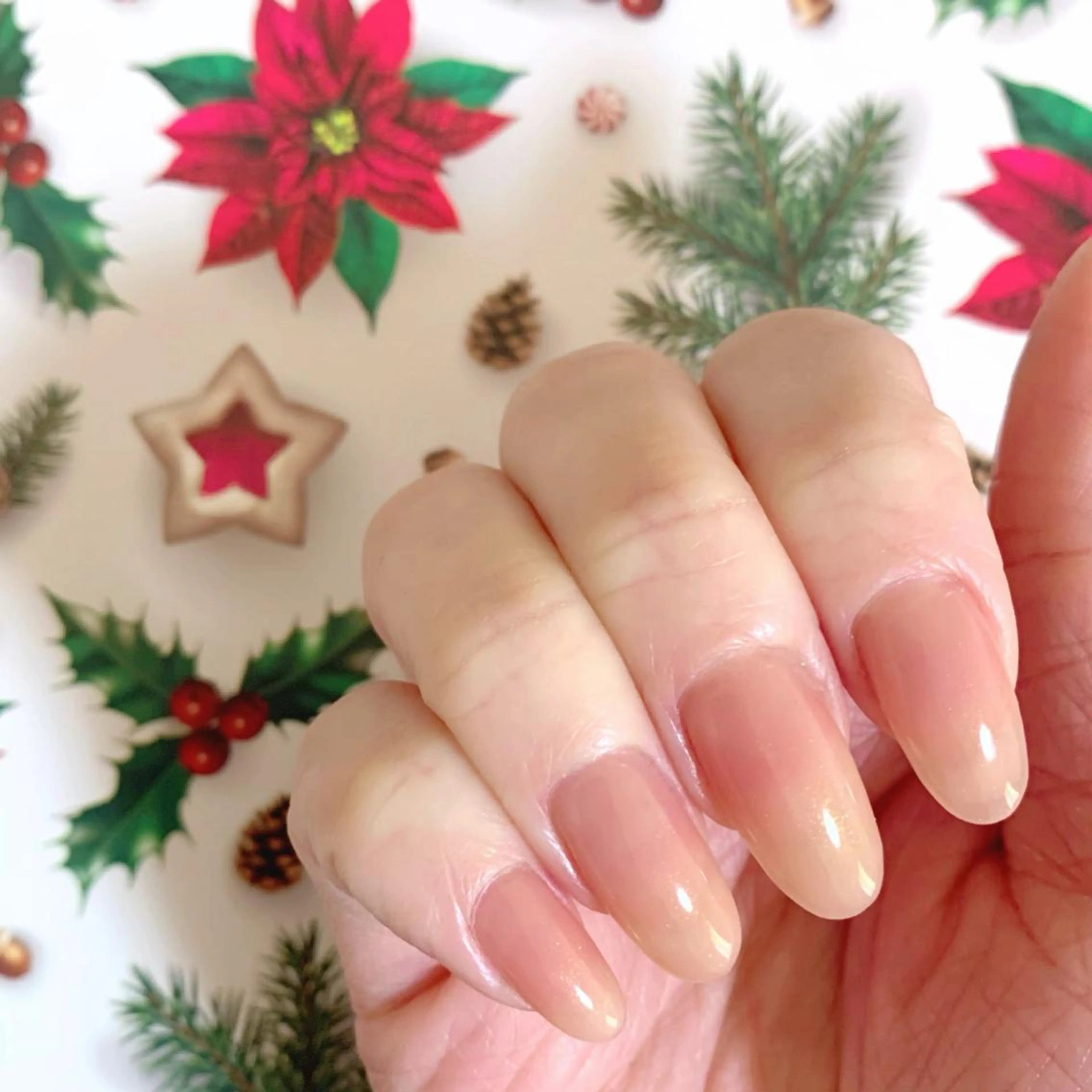 ネイル 氷ネイル・うるうるネイル キラキラネイル ワンカラーネイル 冬ネイル クリスマス Luna  nails所属・yuka Luna nailsのネイルデザイン
