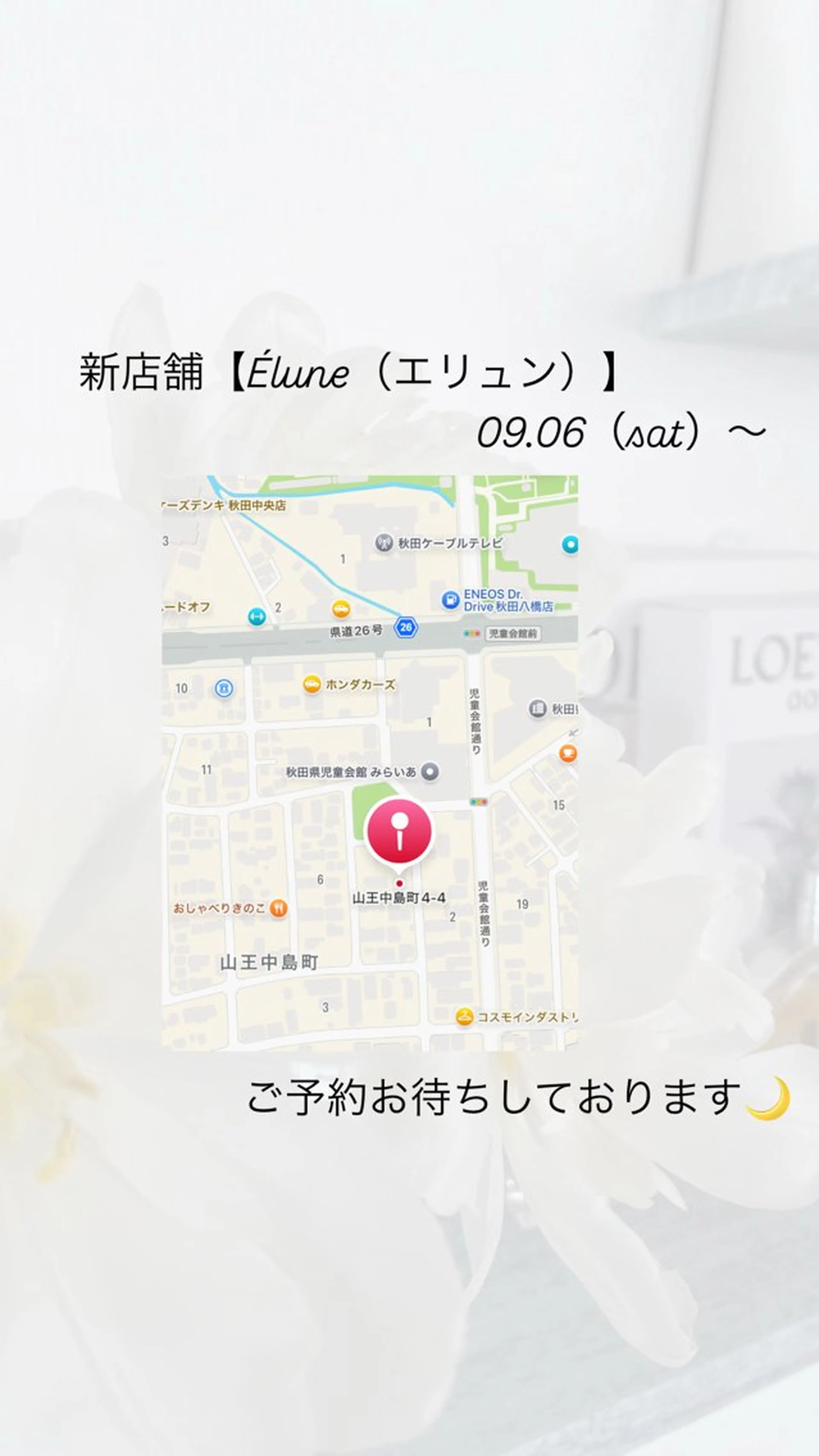 ミディアム カラー パーマ メンズ カット ヘアカラー N° Elune MIYUUのヘアスタイル