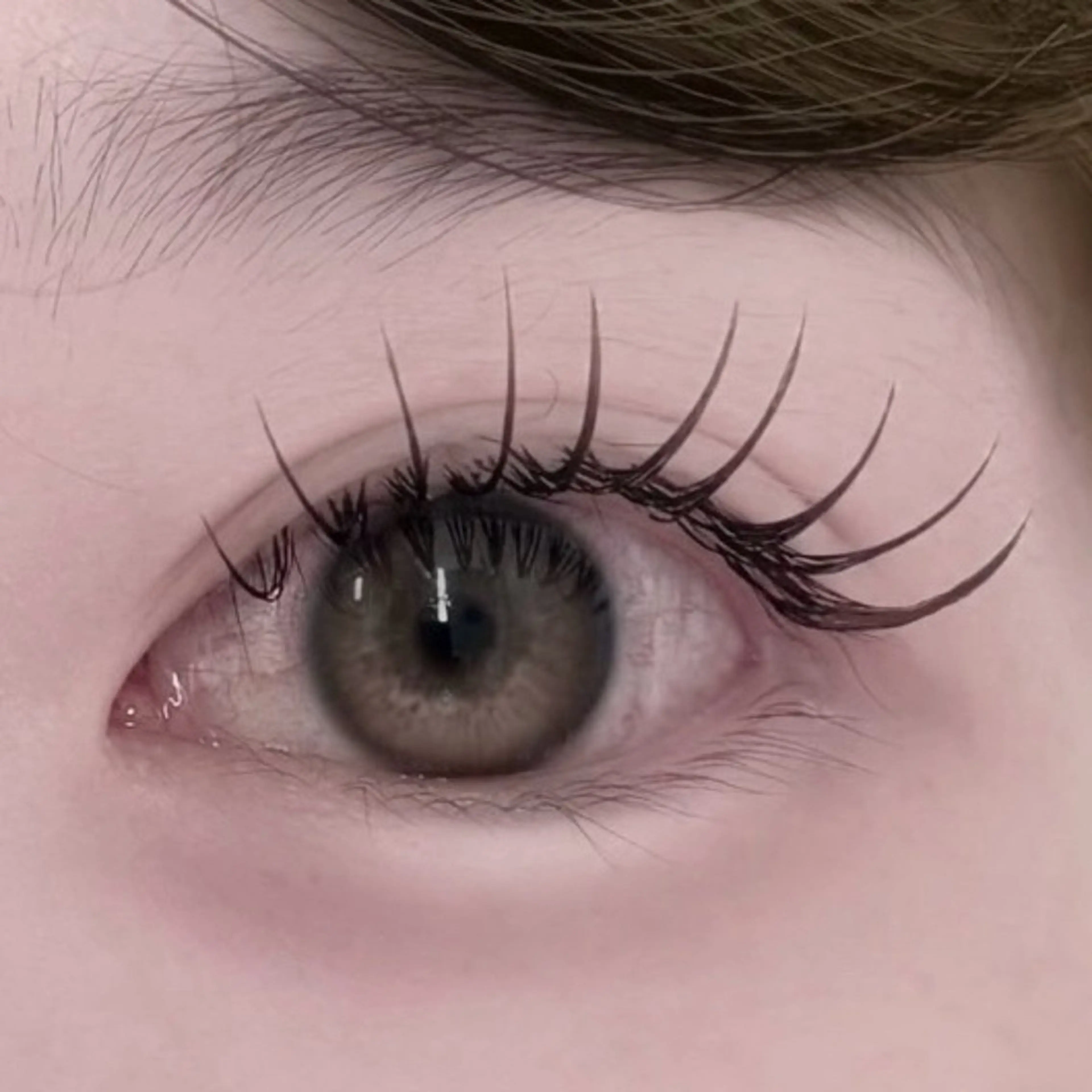 【限定価格】フラットラッシュ160本✨🎀〈オフ込・コーティング付〉の写真