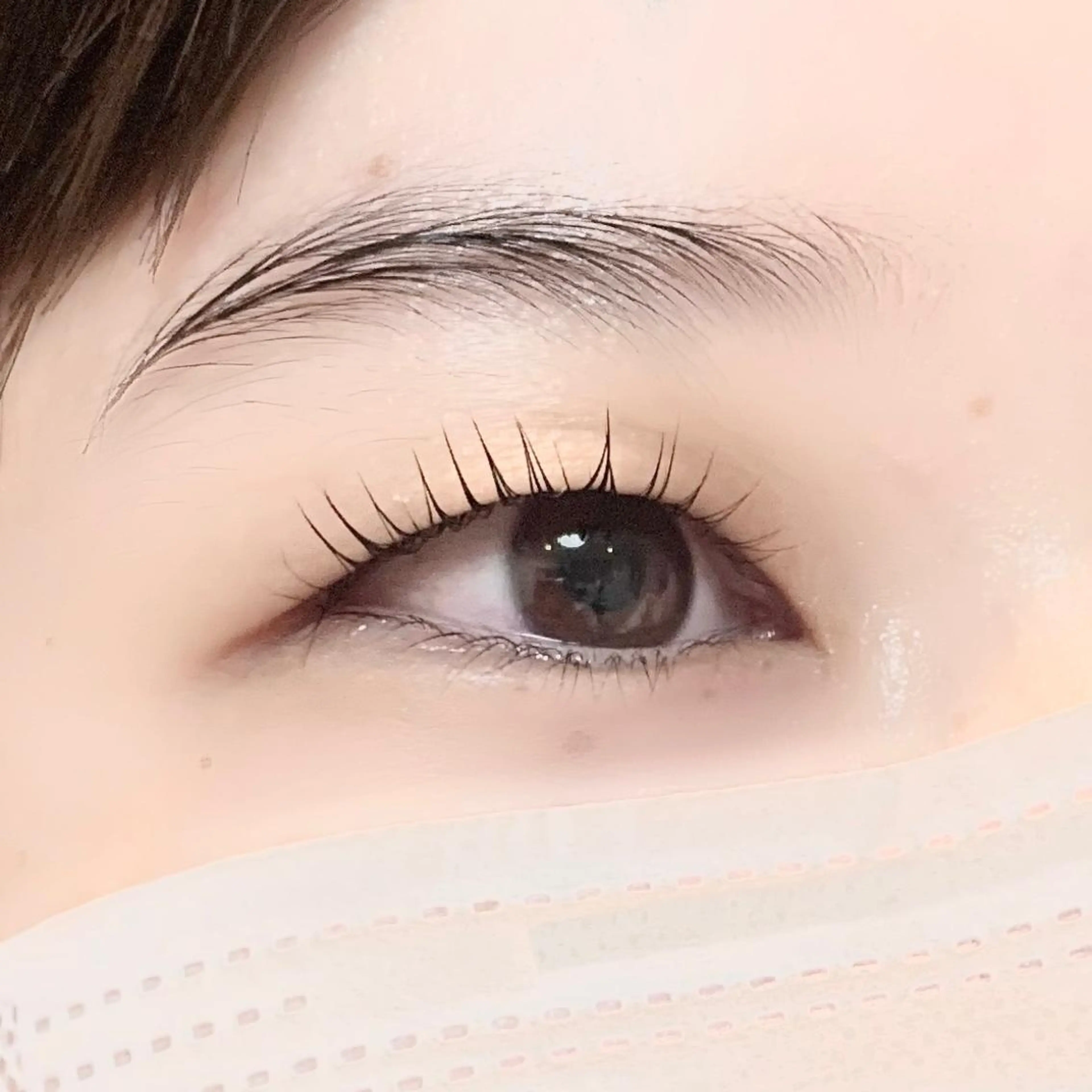 マツエク・マツパ ケラチンラッシュリフト マツパ 🦋平林 未莉🦋✨のマツエク・マツパデザイン