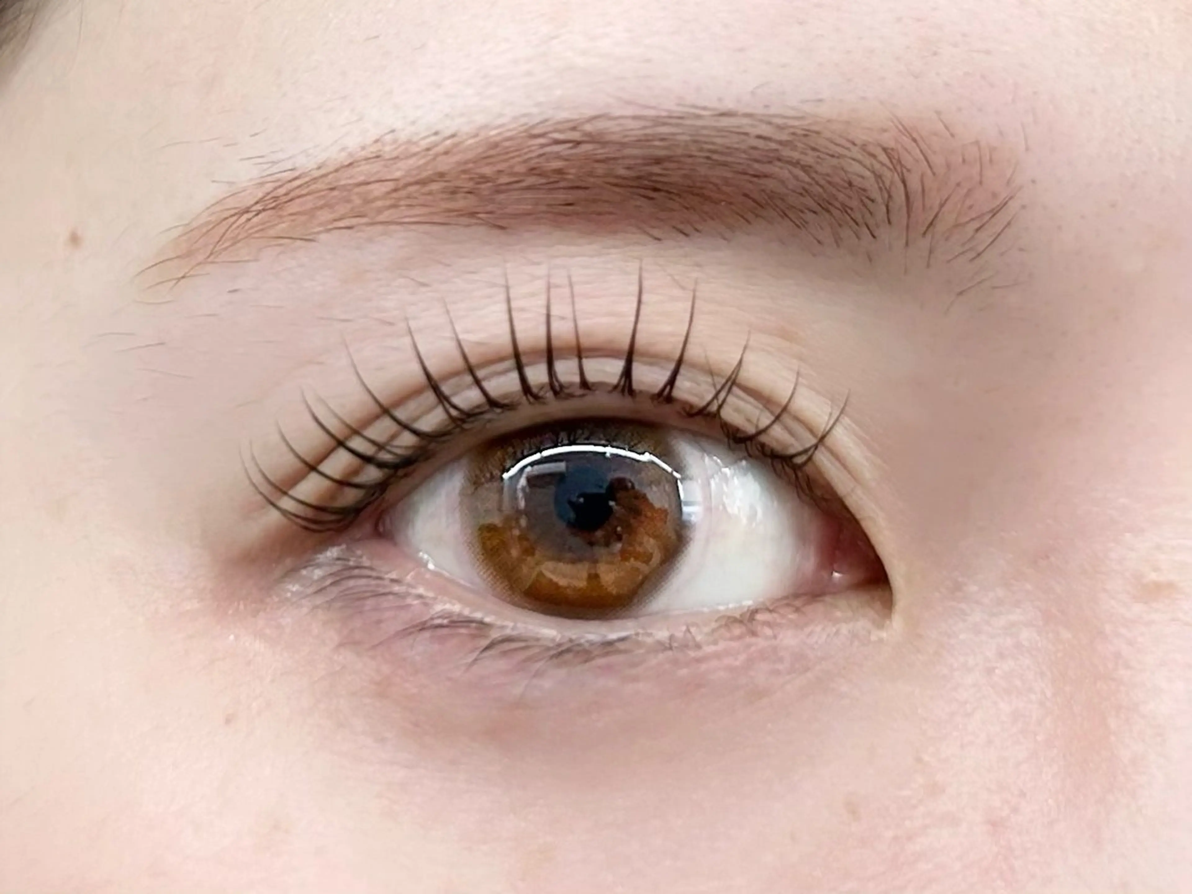 🎄12月限定︎︎🎄パリジェンヌ×美眉スタイリングの写真