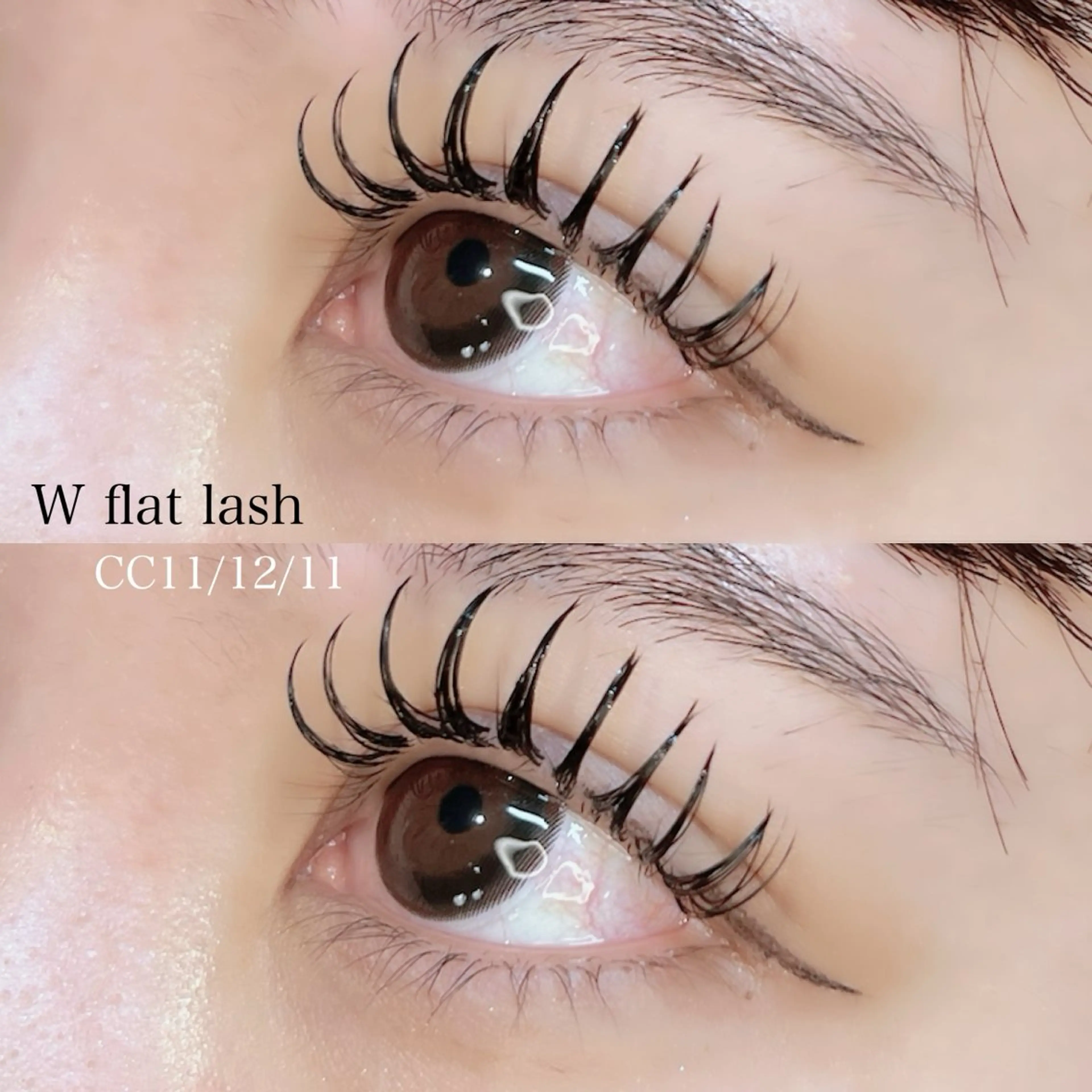 マツエク・マツパ CCカール Cカール フラットラッシュ ｓａｋｕｒａ .のマツエク・マツパデザイン