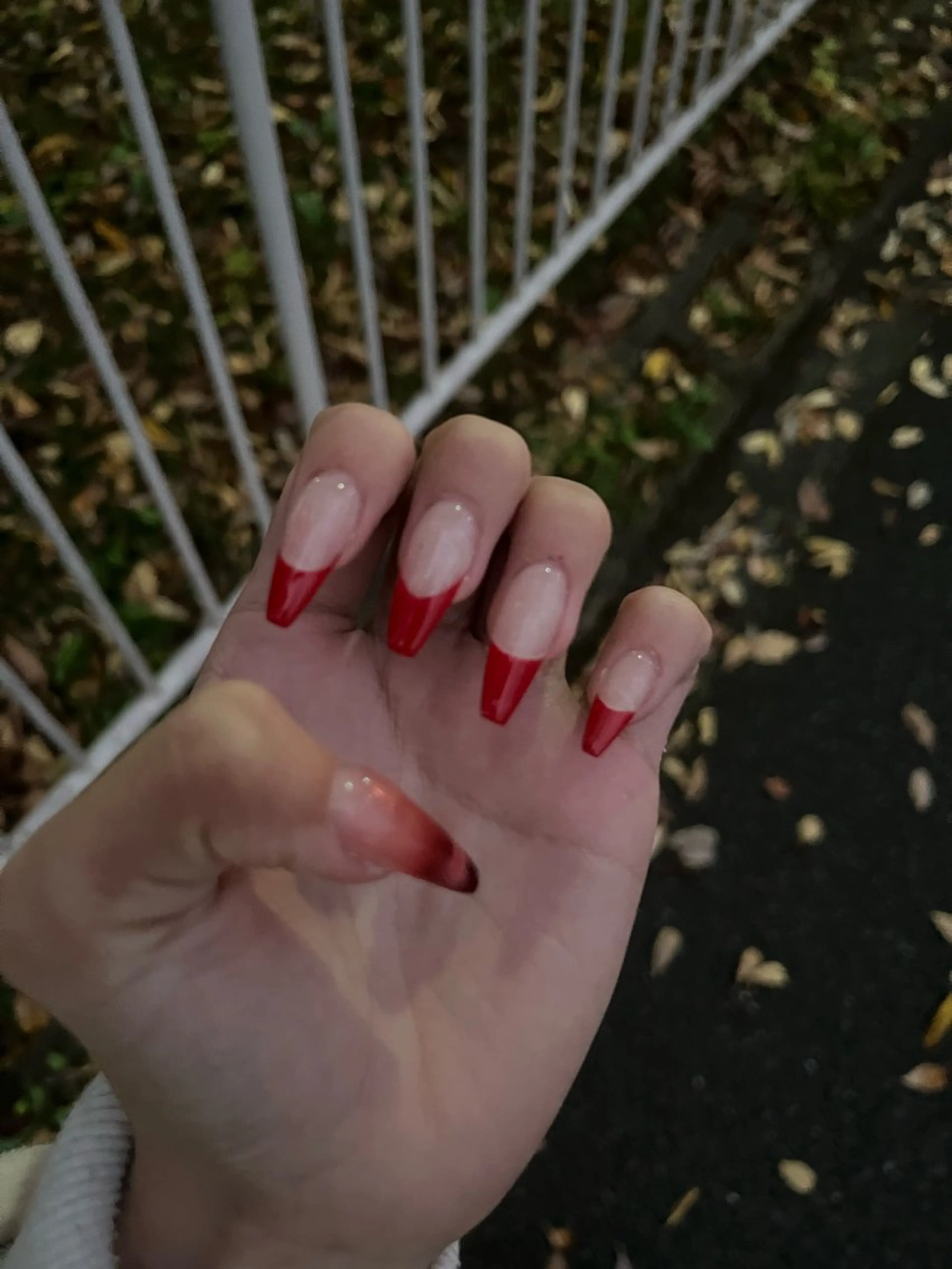 【オフあり】クリアフレンチの写真