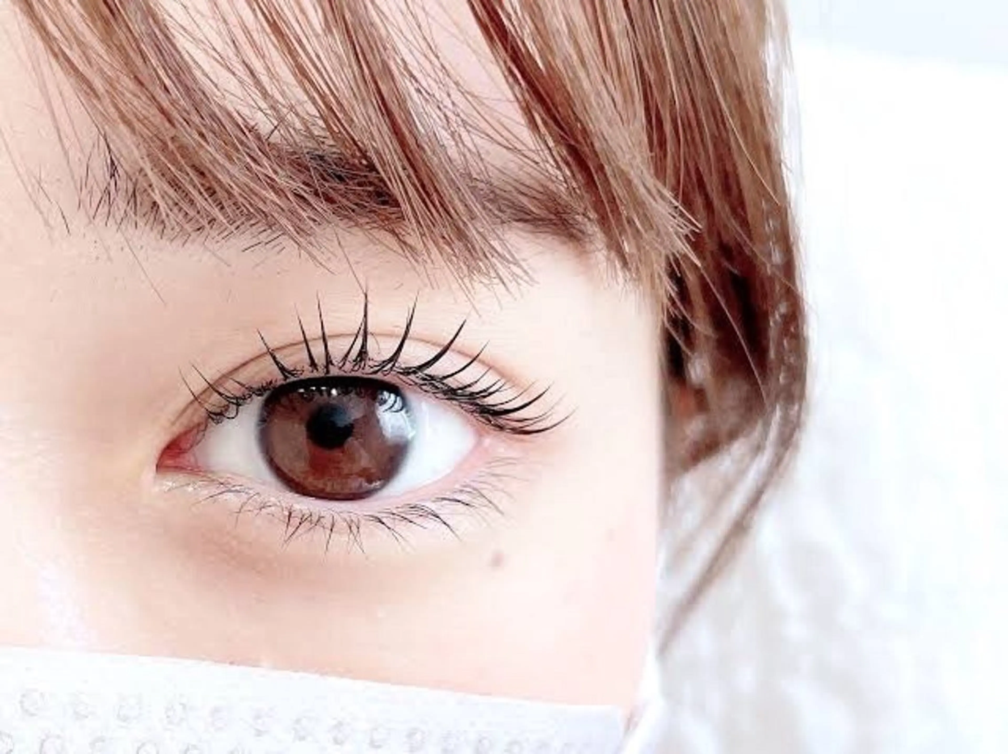 🎀ིྀパリジェンヌラッシュリフト🎀ིྀ(上のみ)の写真