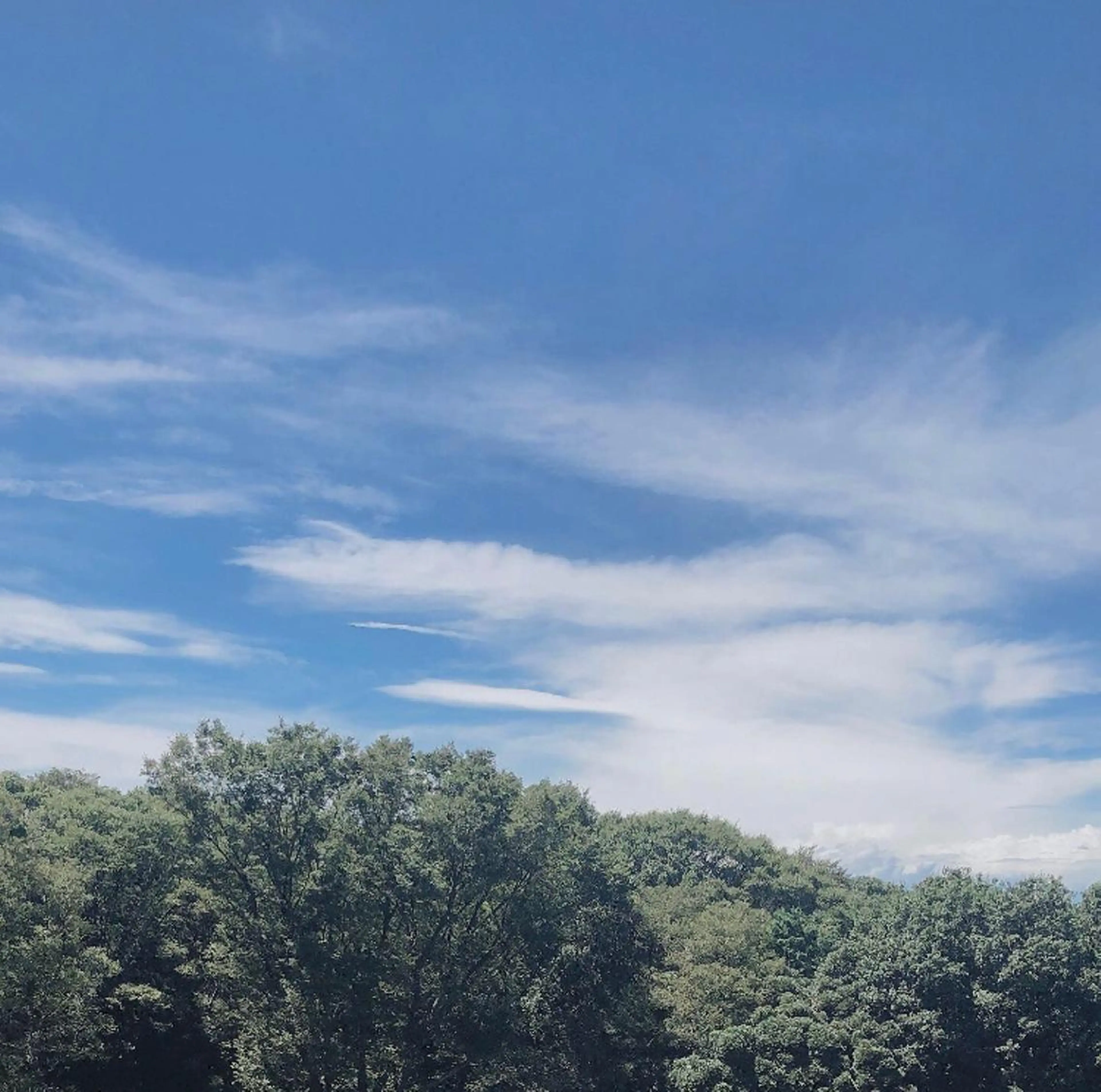 ミディアム カラー パーマ ヘアアレンジ メンズ キッズ GOTODAY SHAiRE SALON (原宿本店)所属・stylist 🎀 kanaのその他イメージ