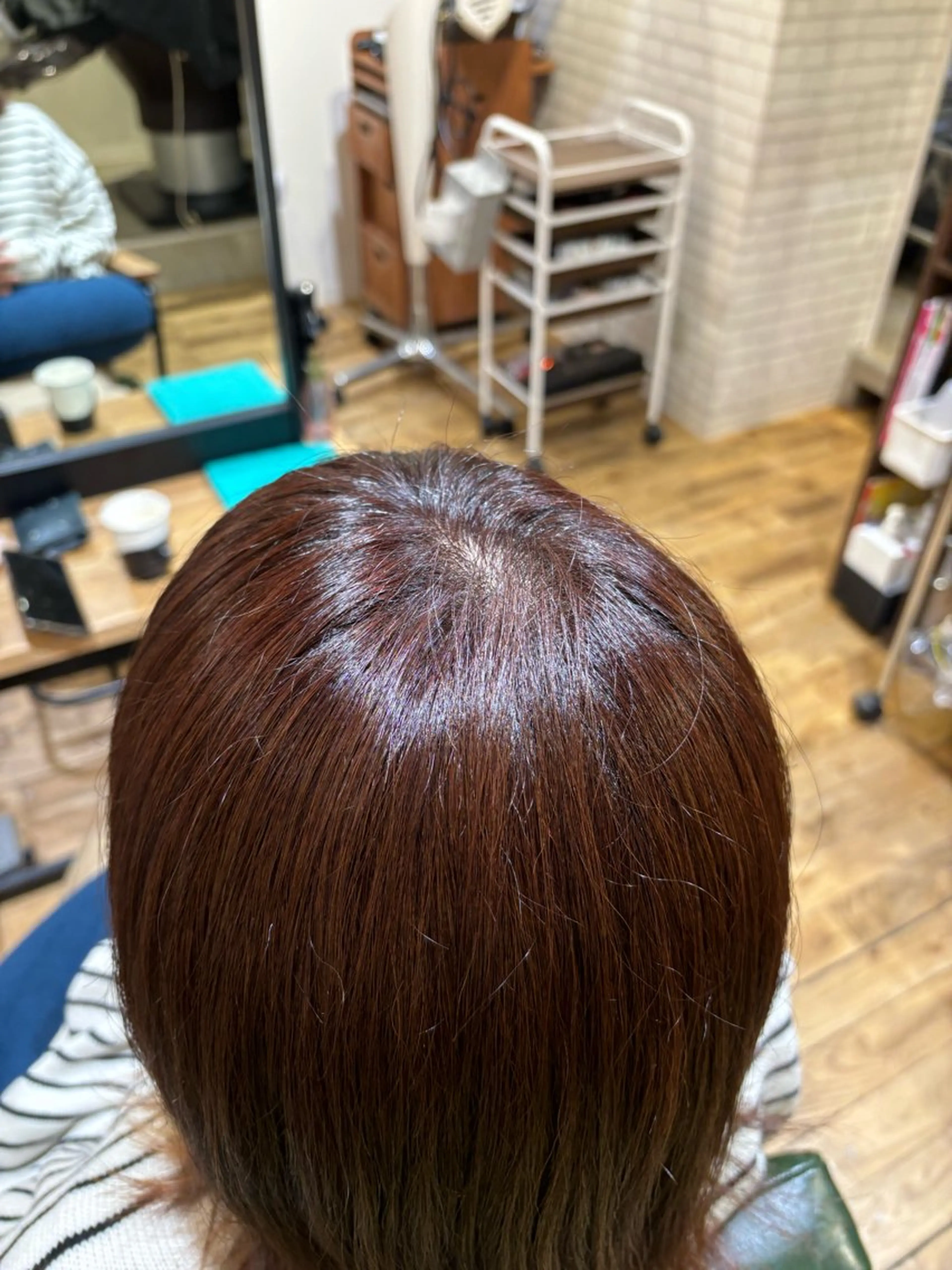 カラー カット ヘアカラー 艶カラー🫧 推しカラー🧸楽歌のヘアスタイル