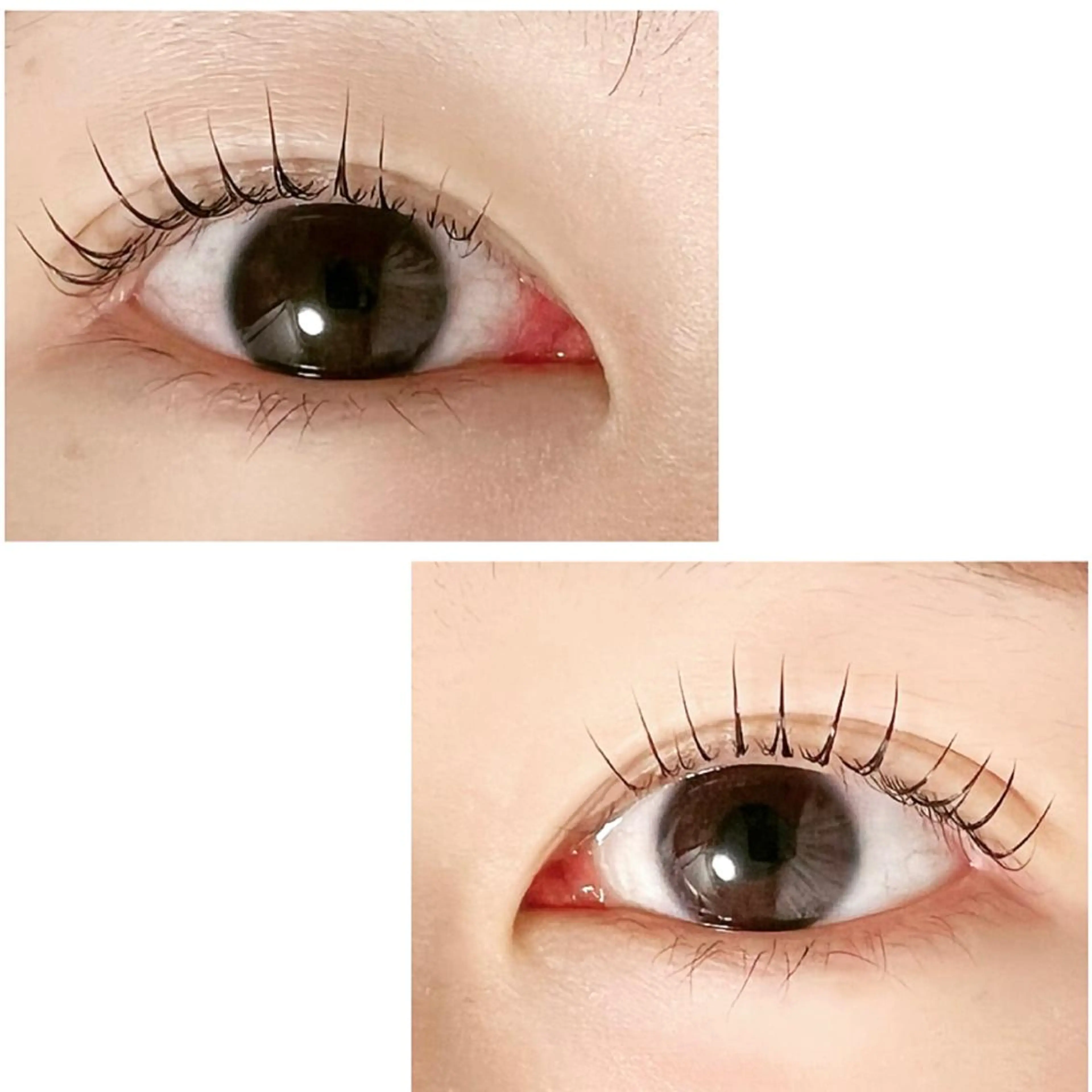 マツエク・マツパ Adorer(アドレ)所属・Adorer 🍀アドレ🍀のマツエク・マツパデザイン