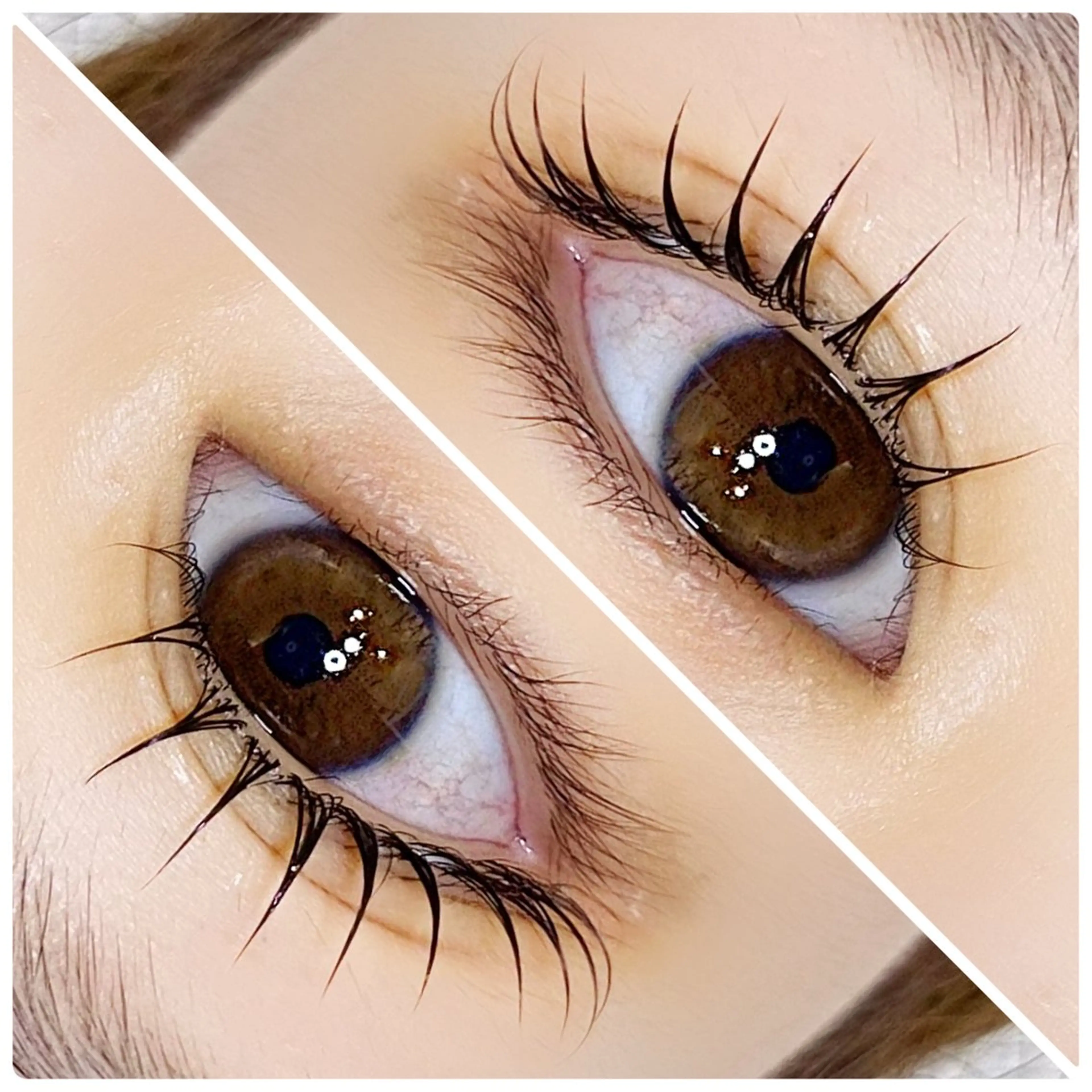 人気no.1 話題のメーテルロッド♪の写真