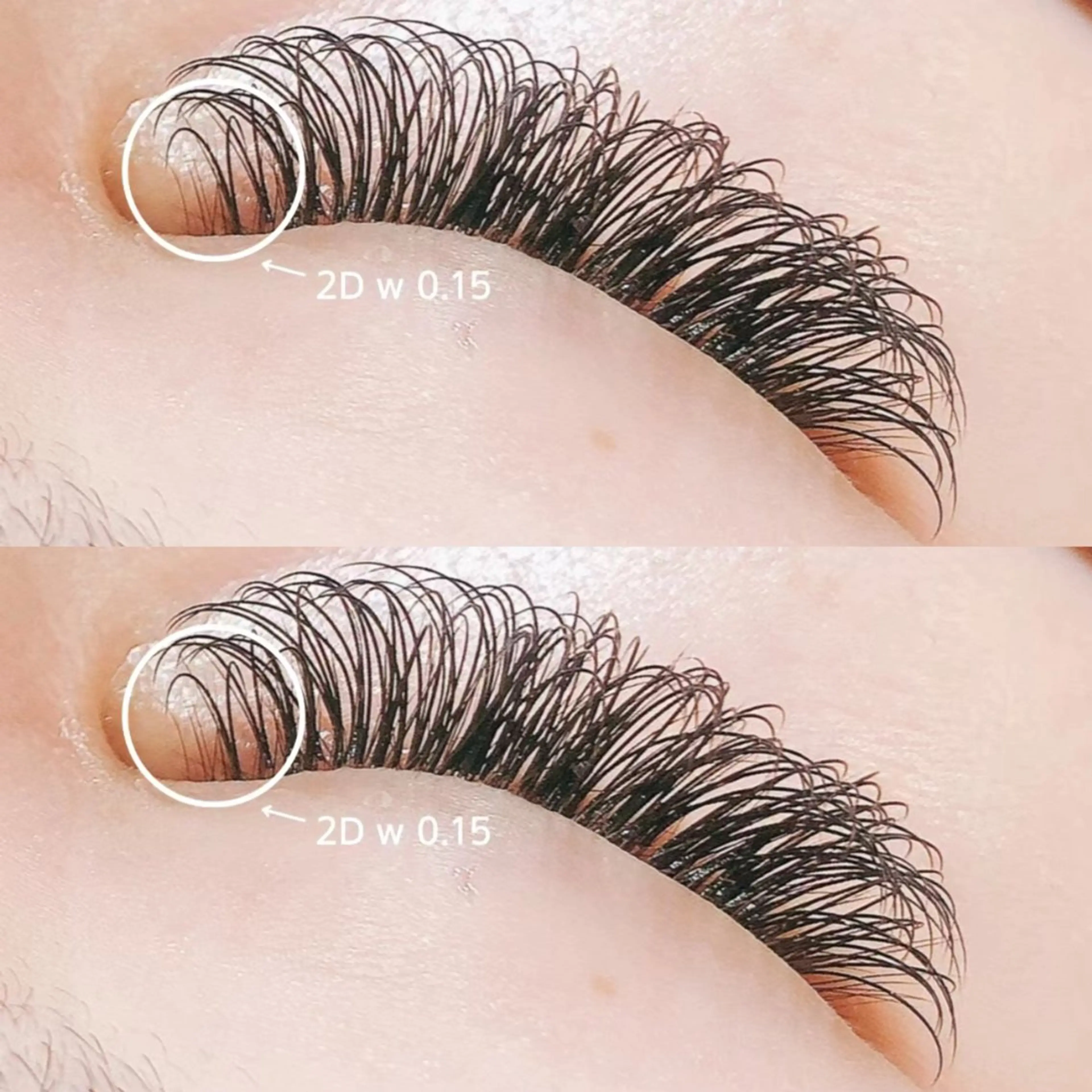 2Dフラットラッシュ 200本（両目100束）+コーディング剤 ¥7680の写真