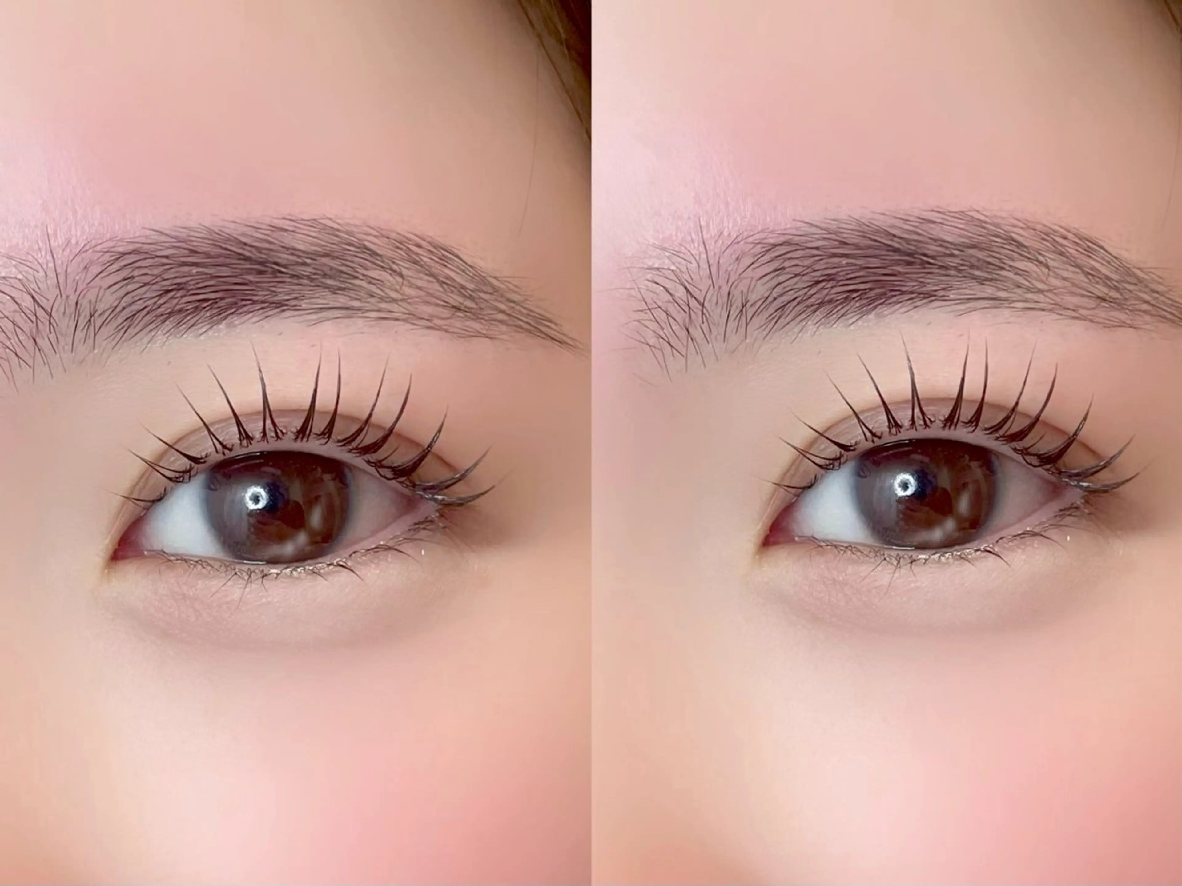 【当日予約限定】ミニモからご予約の方限定パリジェンヌラッシュリフトの写真