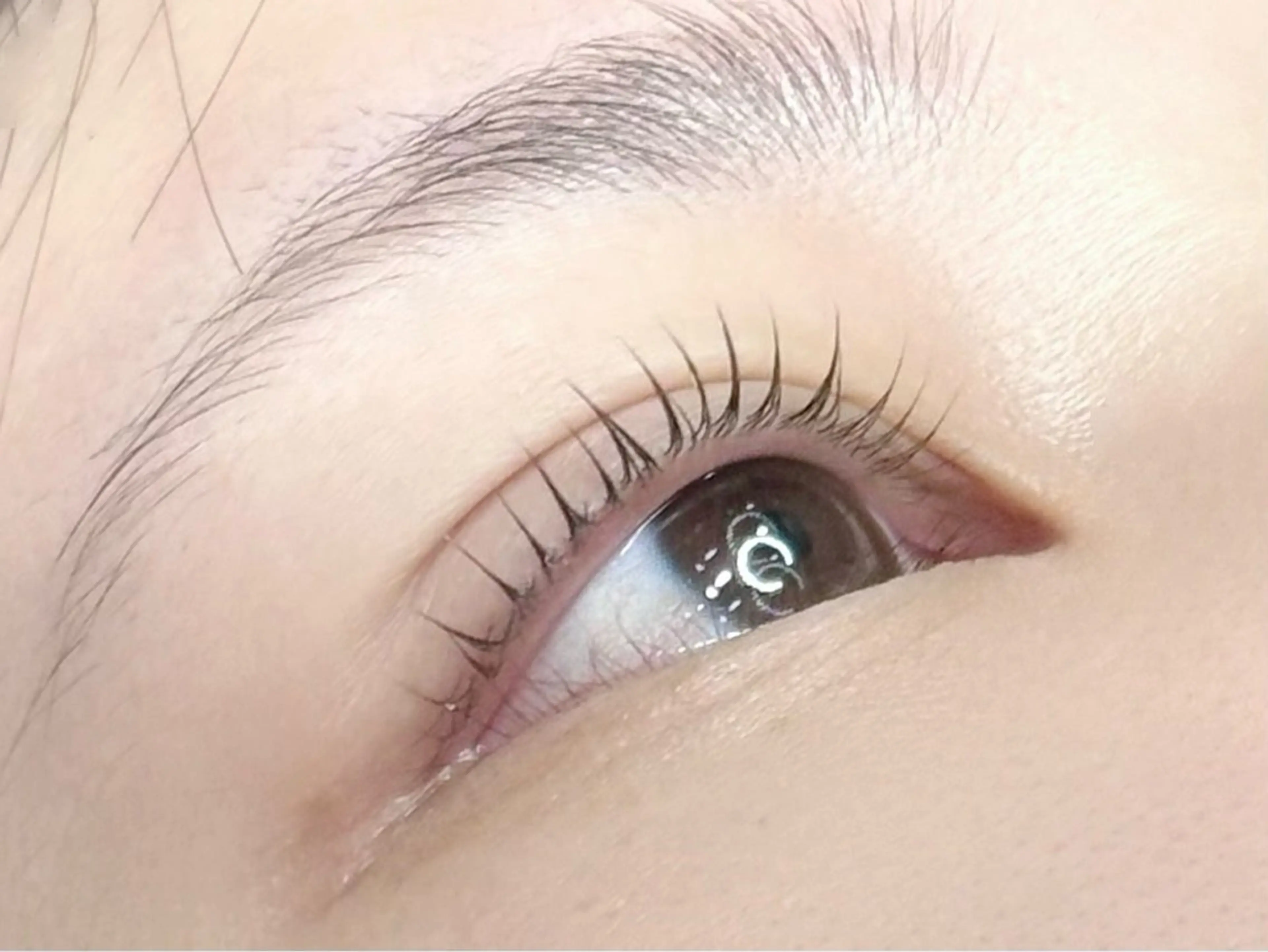 🫧ラッシュリフト無料モデル11/28まで🫧オフありの写真