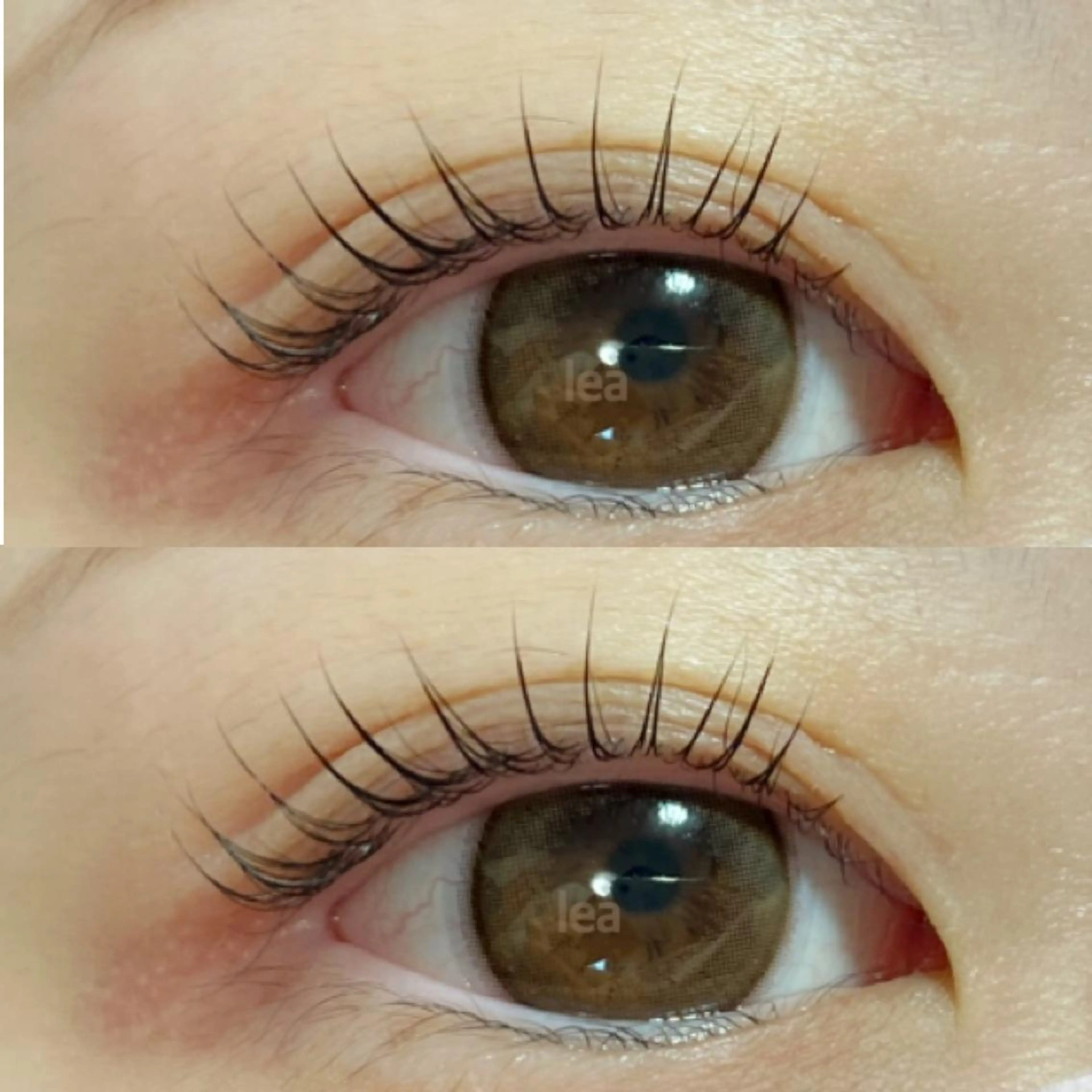 マツエク・マツパ パリジェンヌラッシュリフト eyelash leaのマツエク・マツパデザイン