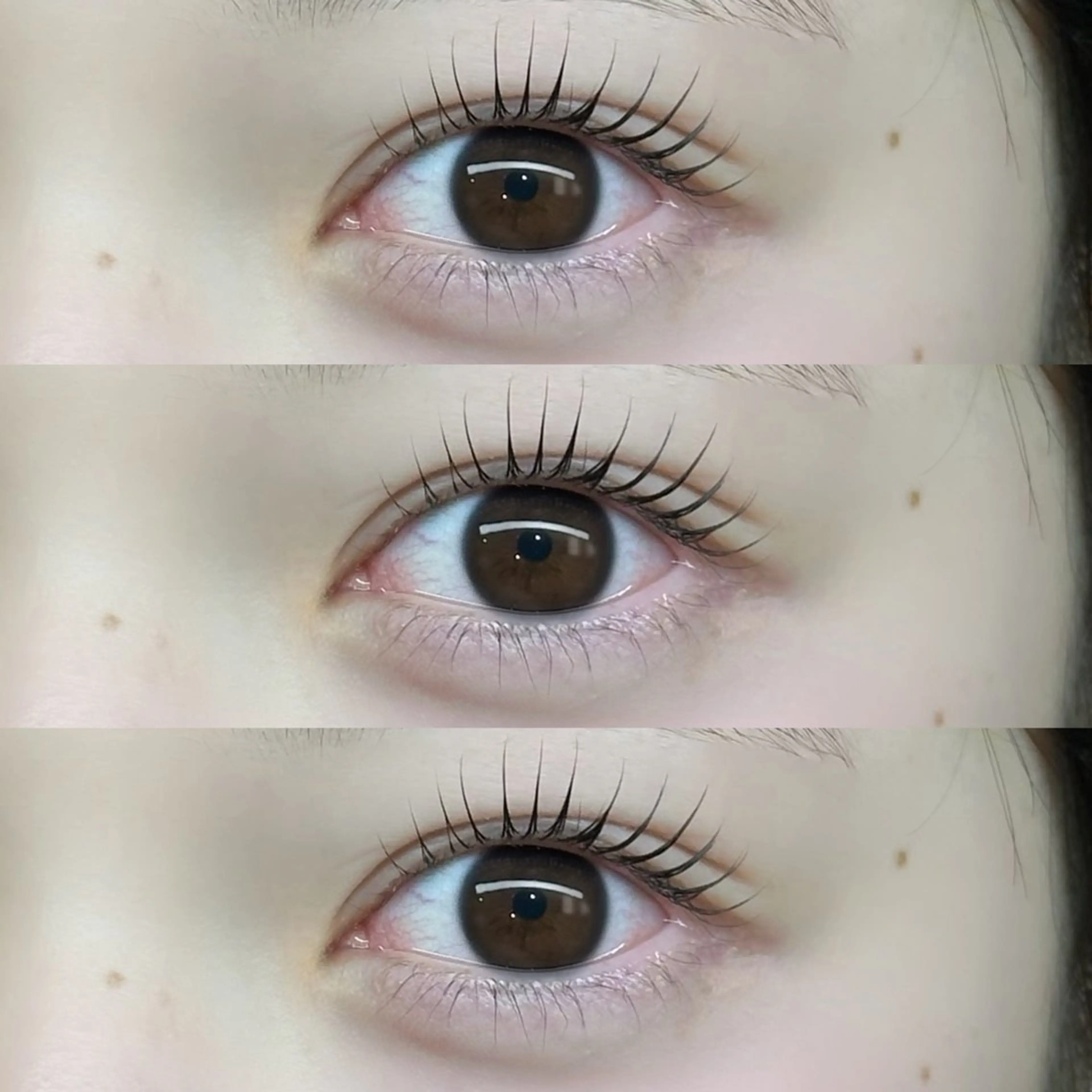 マツエク・マツパ マツパ “ C ” kana🩰‎🤍の眉毛・アイブロウイメージ