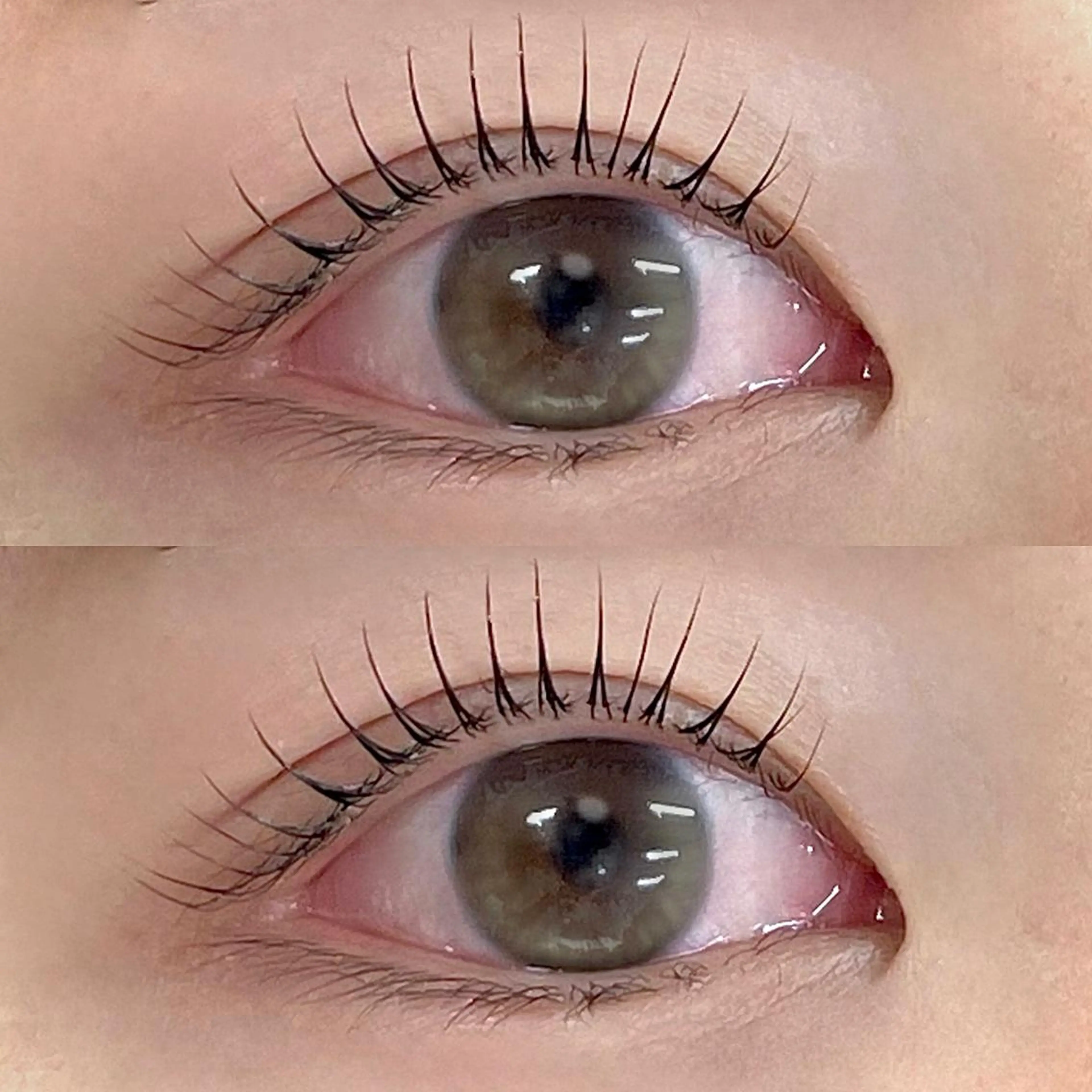 マツエク・マツパ shuon 武蔵境店所属・【武蔵境店】工藤 さくらのマツエク・マツパデザイン