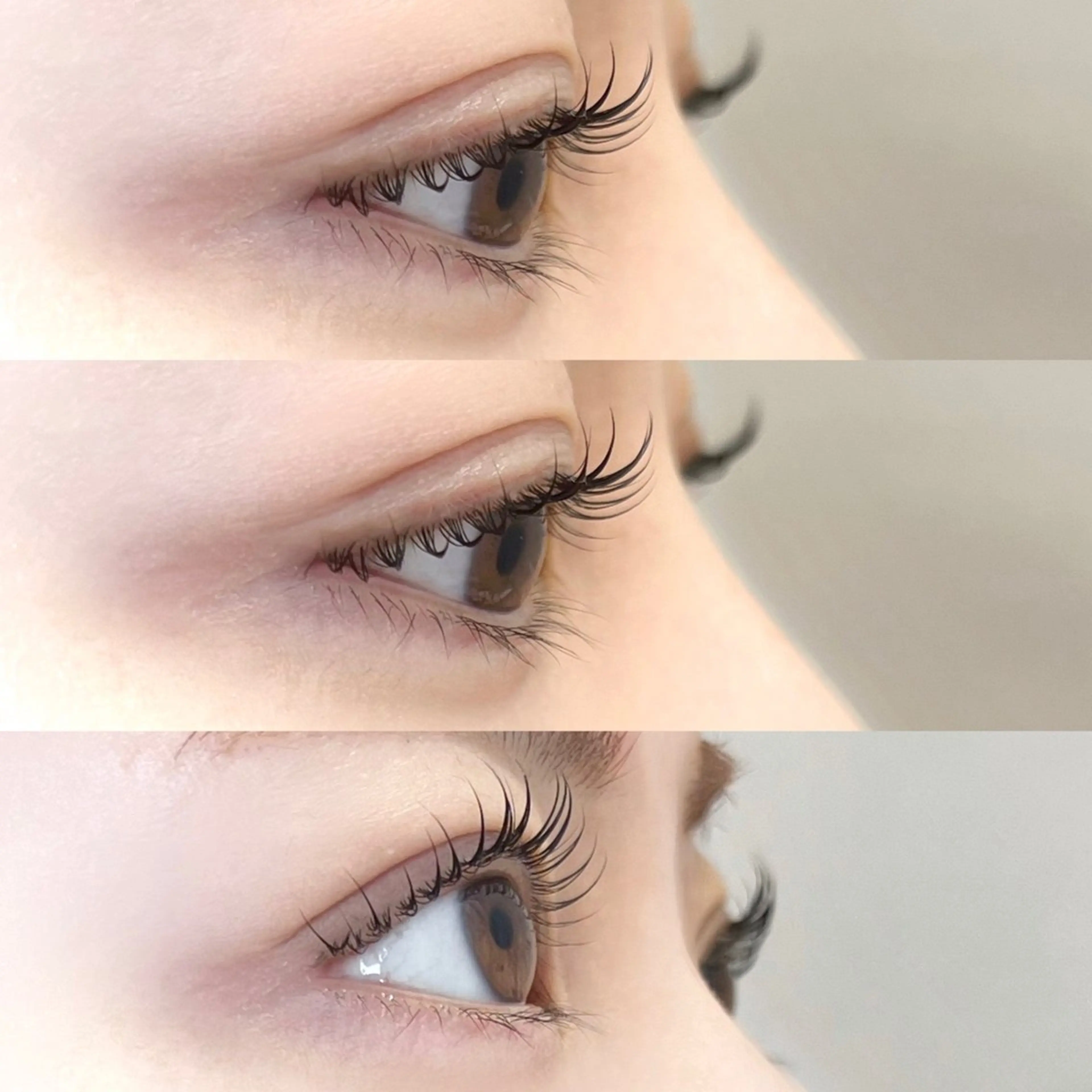 ご新規様🤍(まつ毛パーマ)くるんとカール↺ タレ目デザインなど〖アイシャンプー・TR付き👼🏼〗の写真