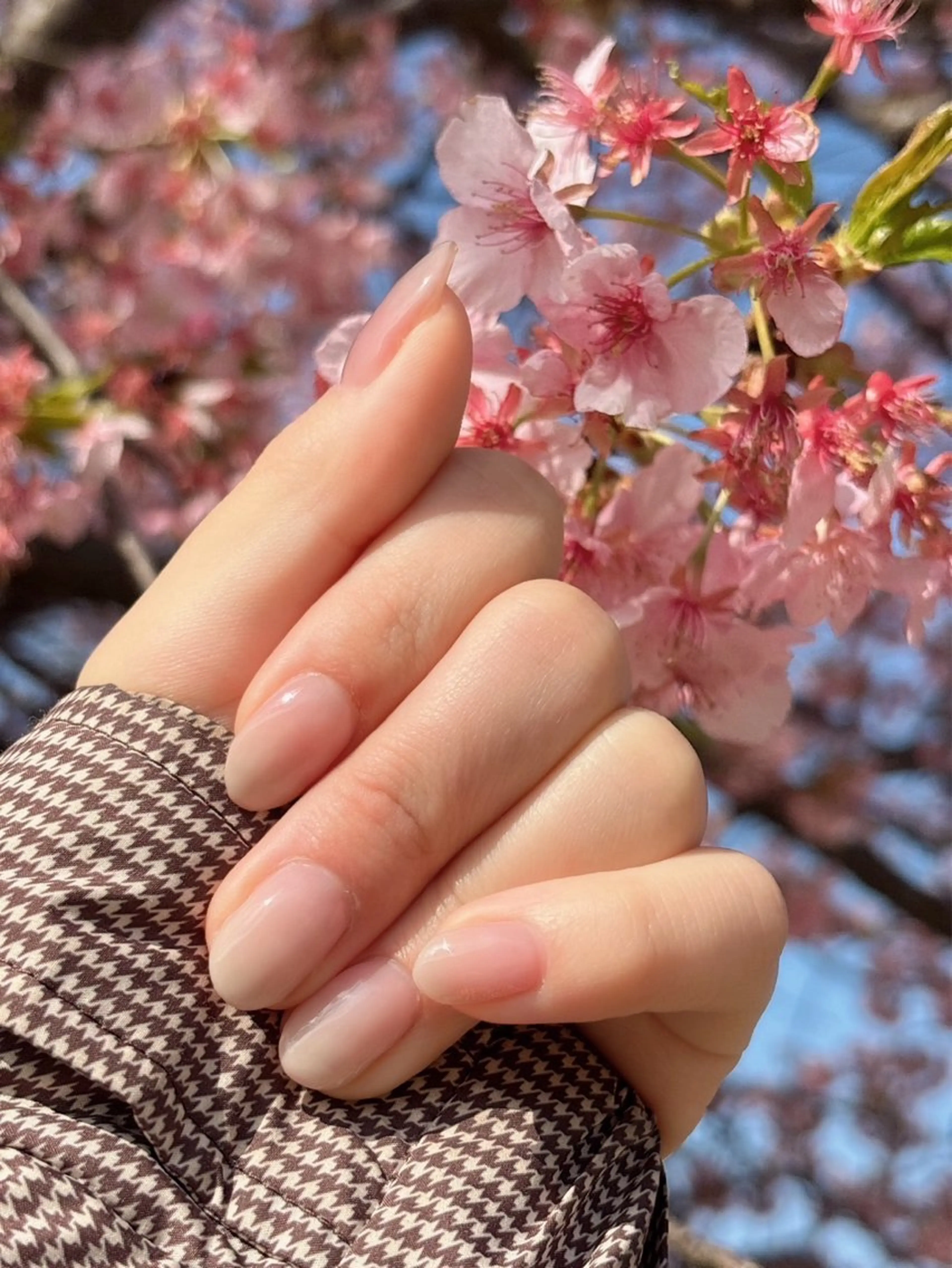ネイル Nail salon Vinnaのネイルデザイン
