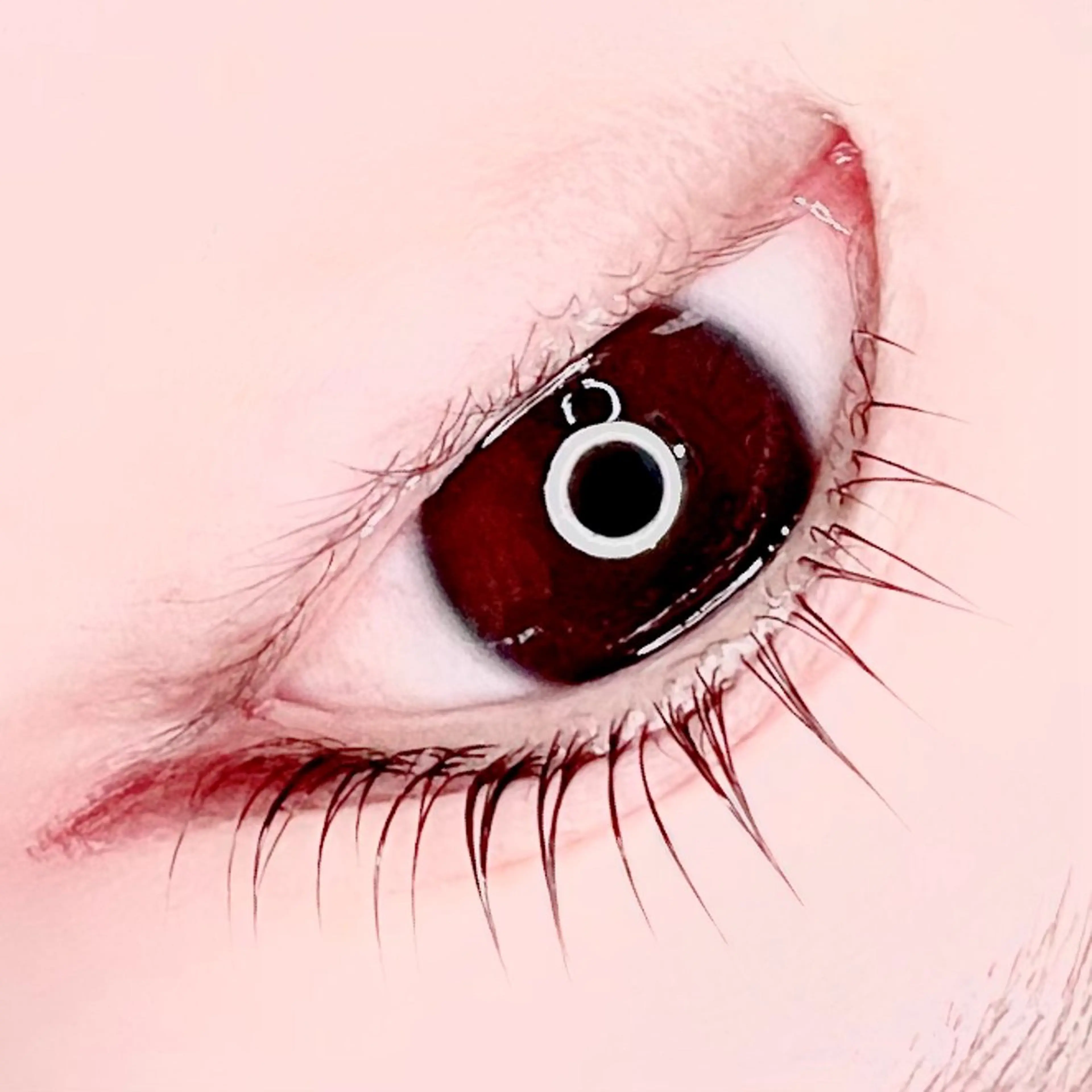 マツエク・マツパ Madonna Lilyのマツエク・マツパデザイン