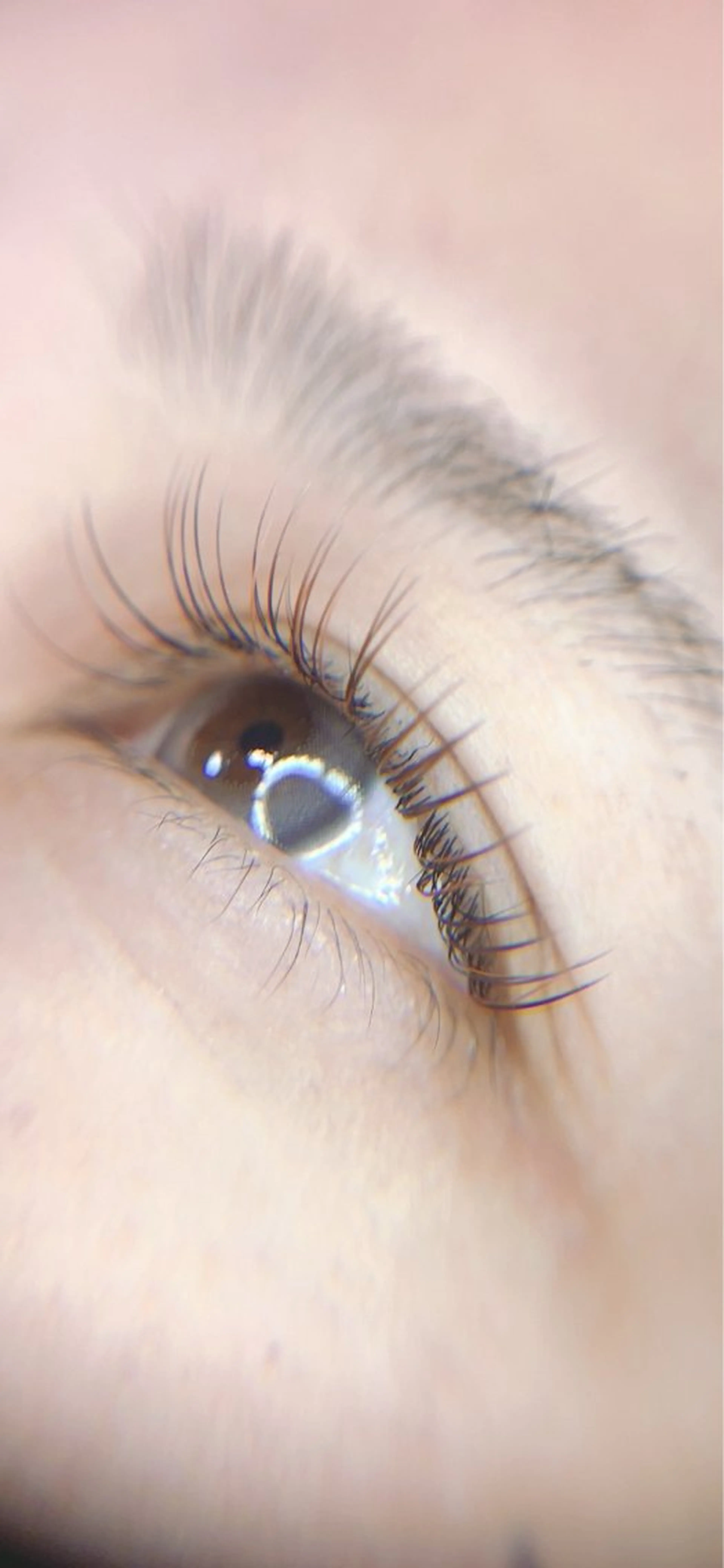 マツエク・マツパ LEDエクステ🖤 natsu🖤産休のマツエク・マツパデザイン