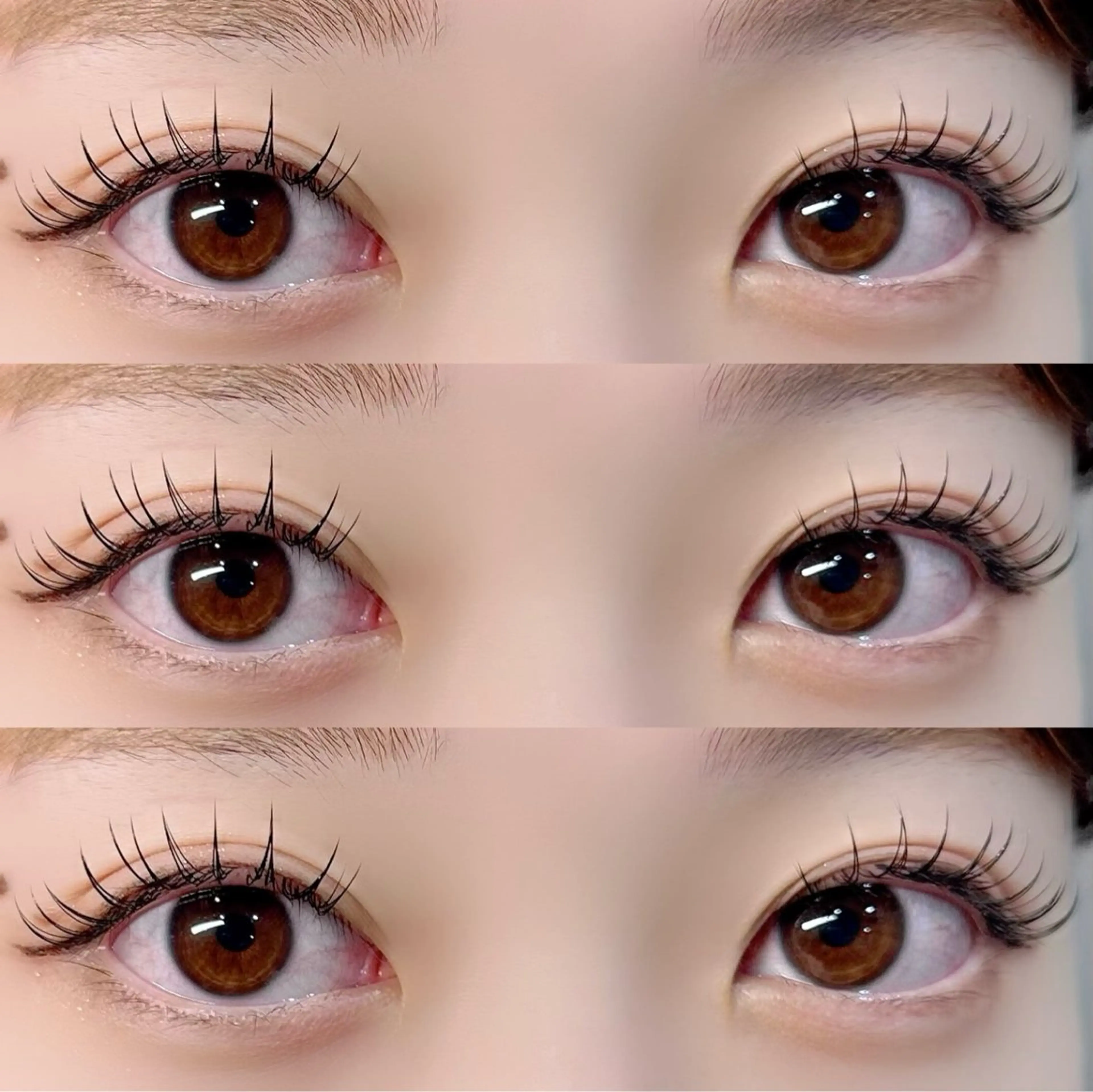 🌹シングルエクステ100本🌹 ナチュラルにパッチリと✨➕500円でフラットにご変更可◎の写真