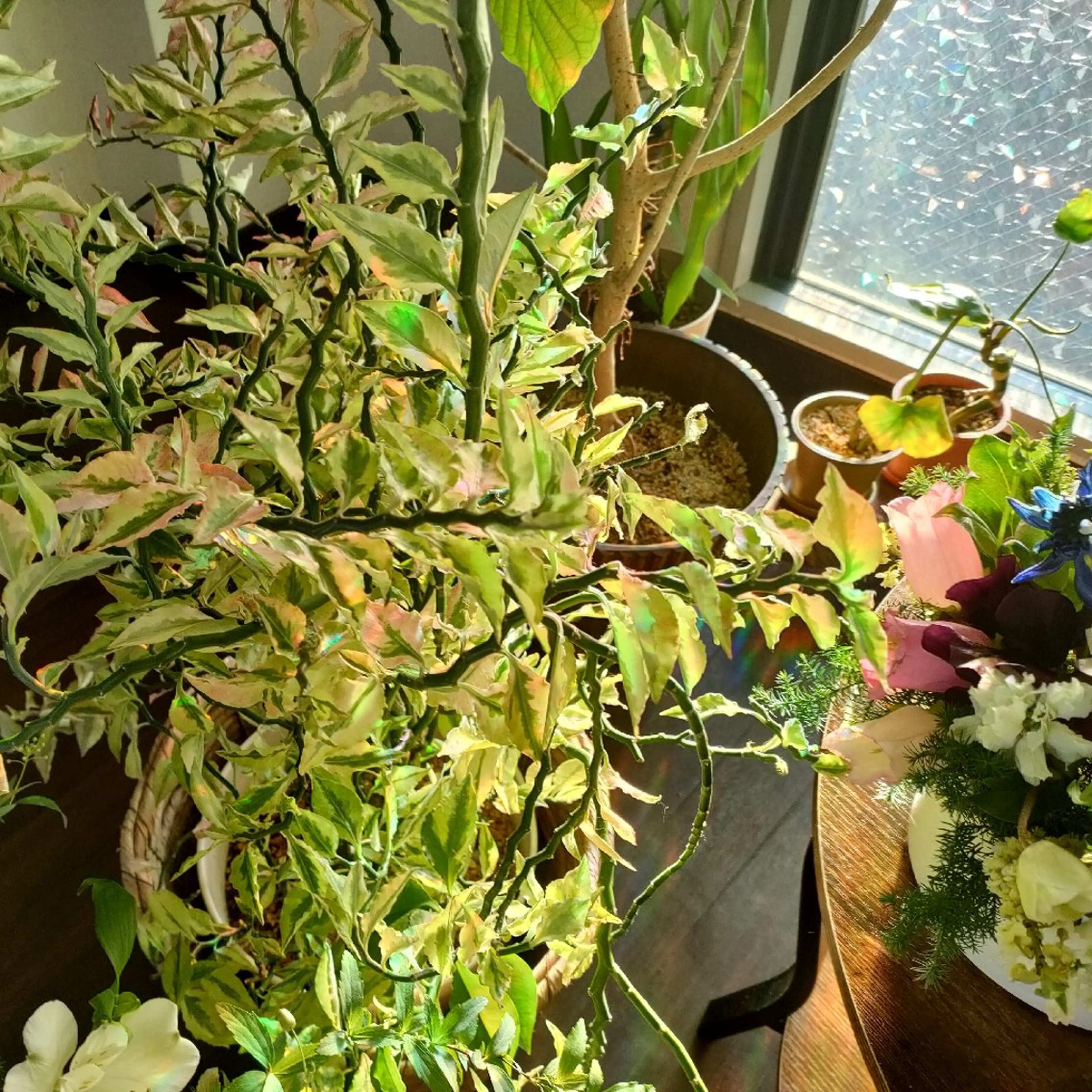 エステ リラク MIZUTOKI所属・リンパトリートメント MIZUTOKIのエステ・リラクイメージ