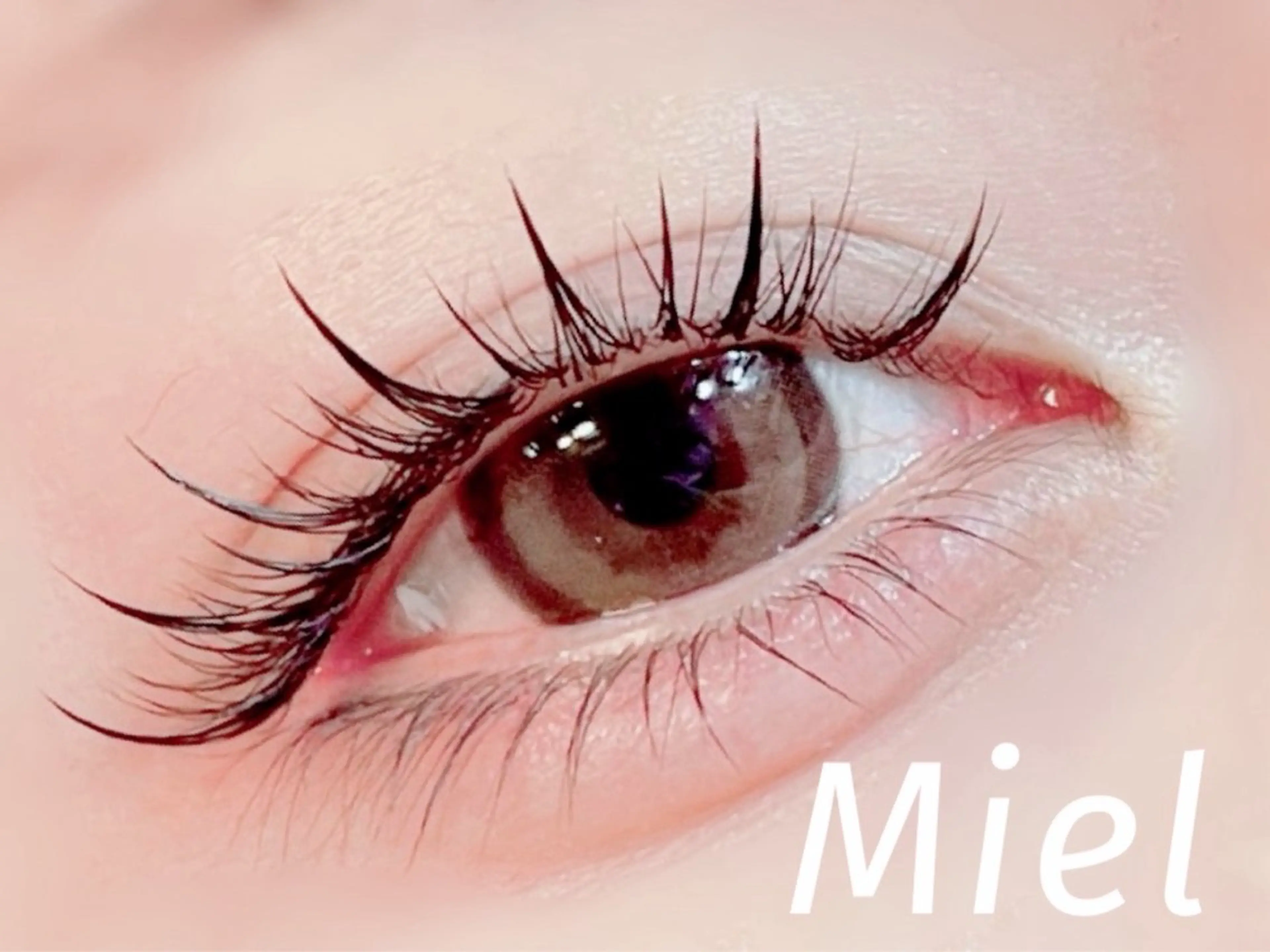 SNSで話題😆❣️ラッシュリフト&【網紅】ワンホンマツエク✨フラットラッシュ/オフ/トリートメント/アイシャンプー込✨の写真