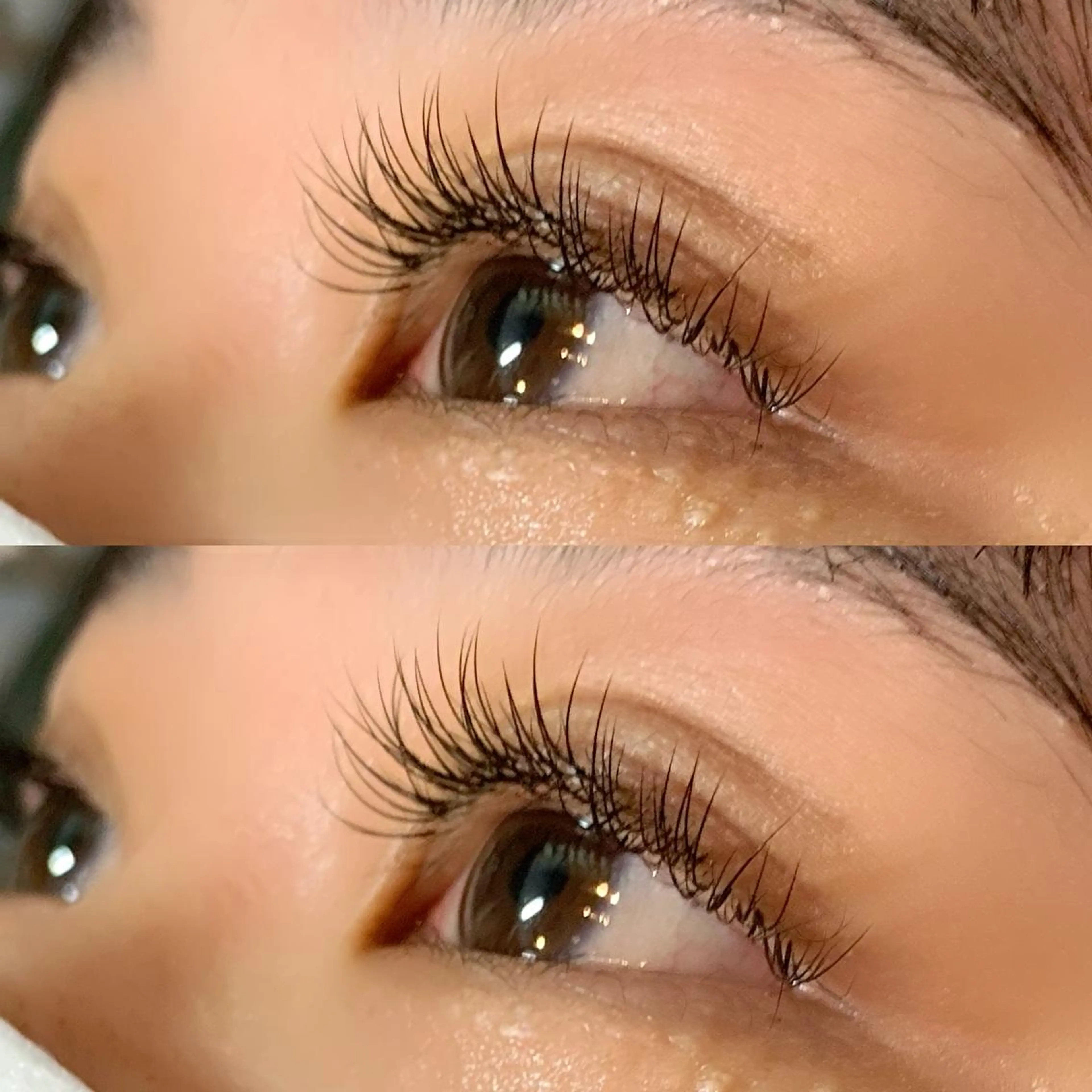 💙最高級セーブル100本（オフ込み）の写真