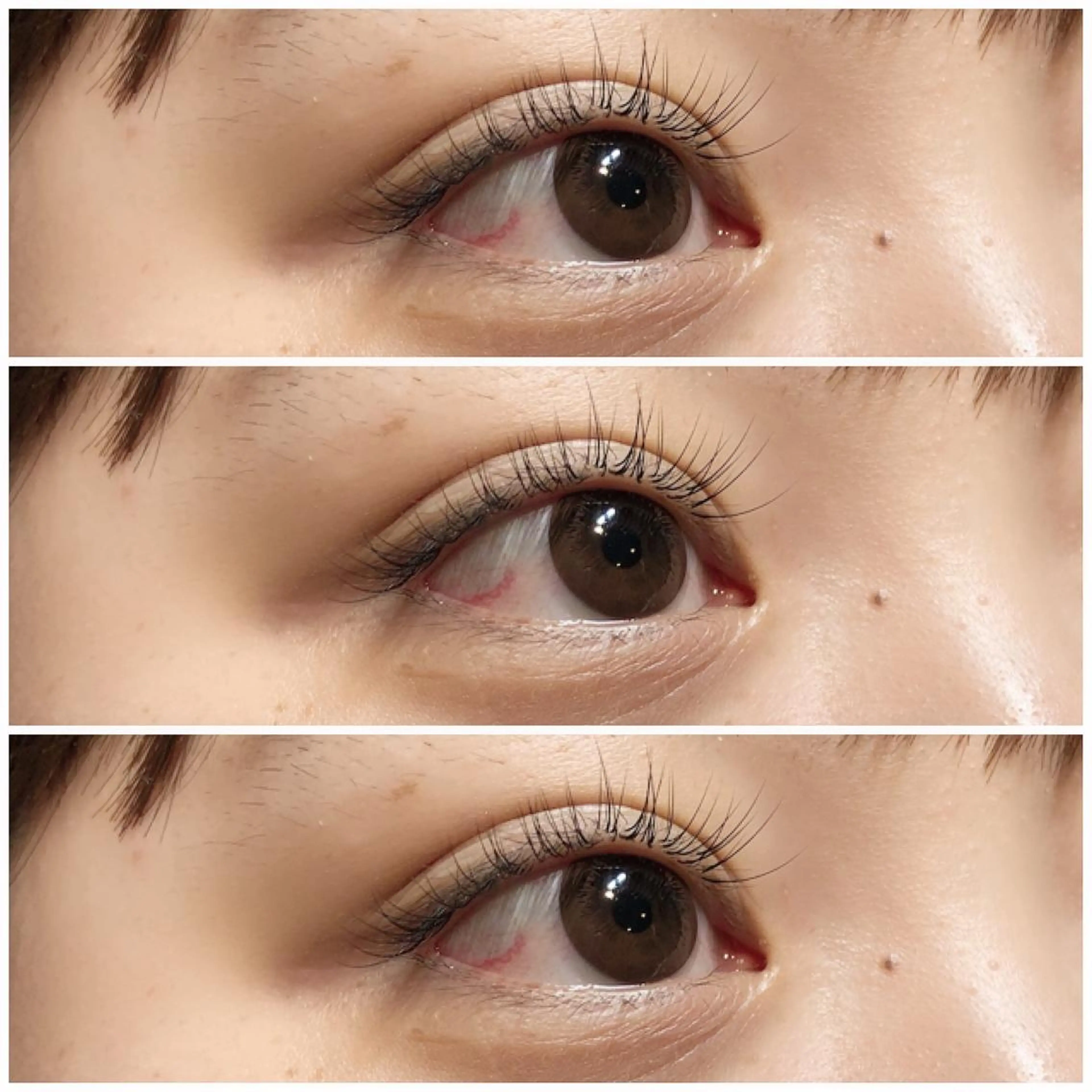 ãããšã¯ã»ããã ãããšã¯ ð¯ Miyakið¯ã®ãããšã¯ã»ããããã¶ã€ã³